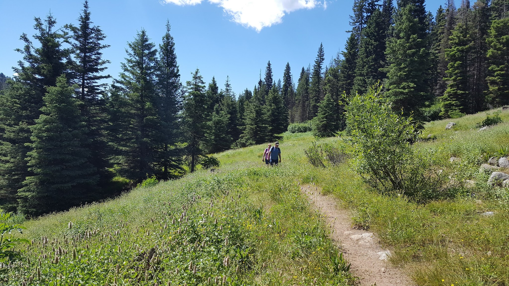 Rapid Creek Camping Area