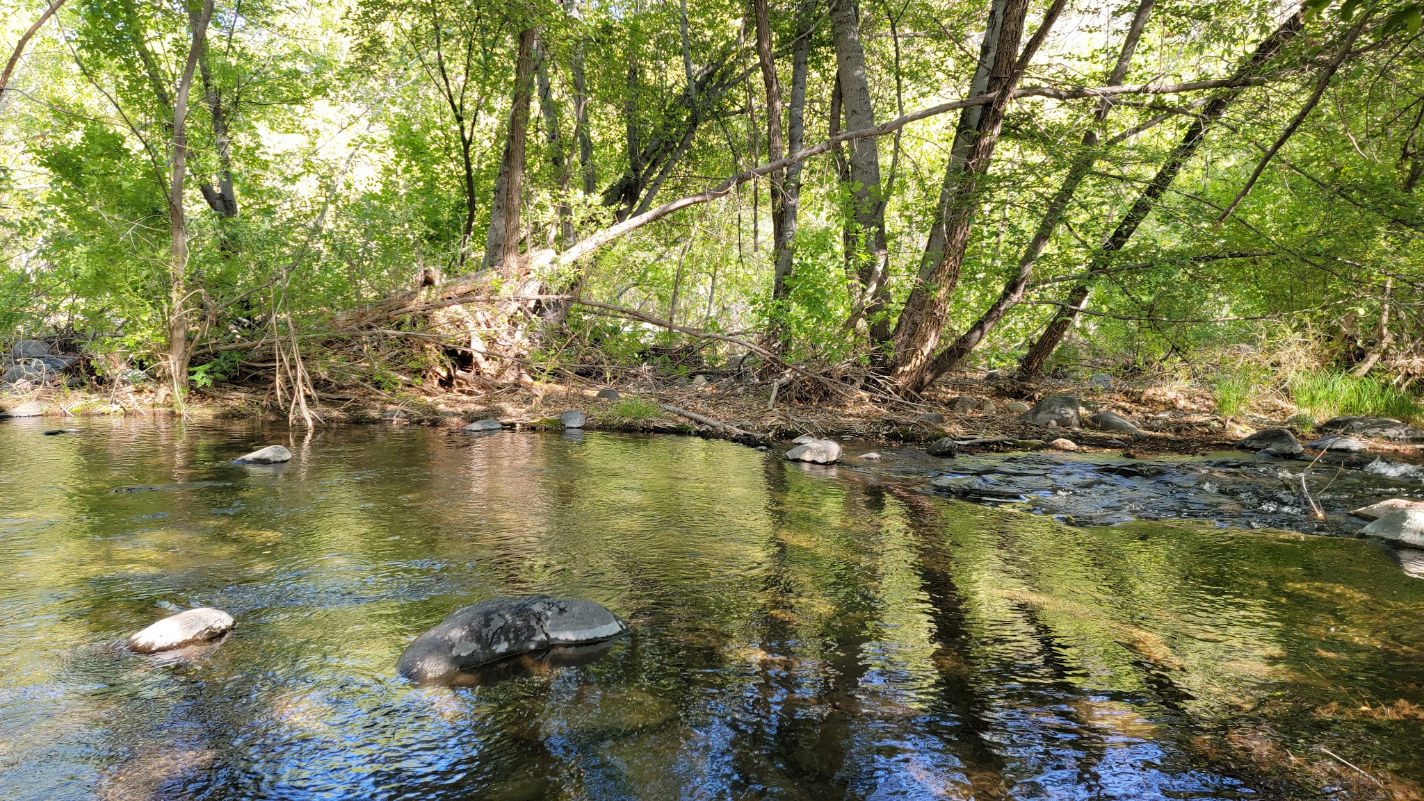 Bull Pen Day Use Area & Trailhead