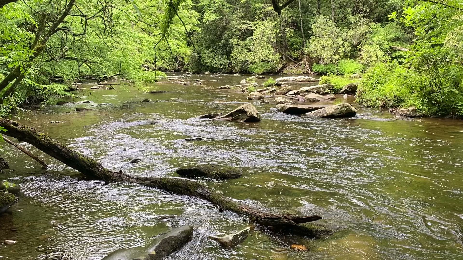 Rattler Ford Campground