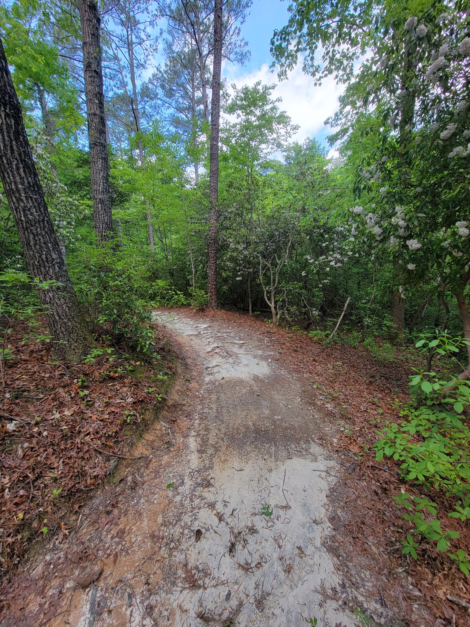 Raven Rock State Park
