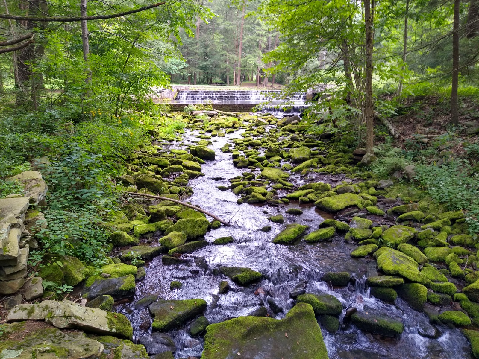 Ravensburg State Park