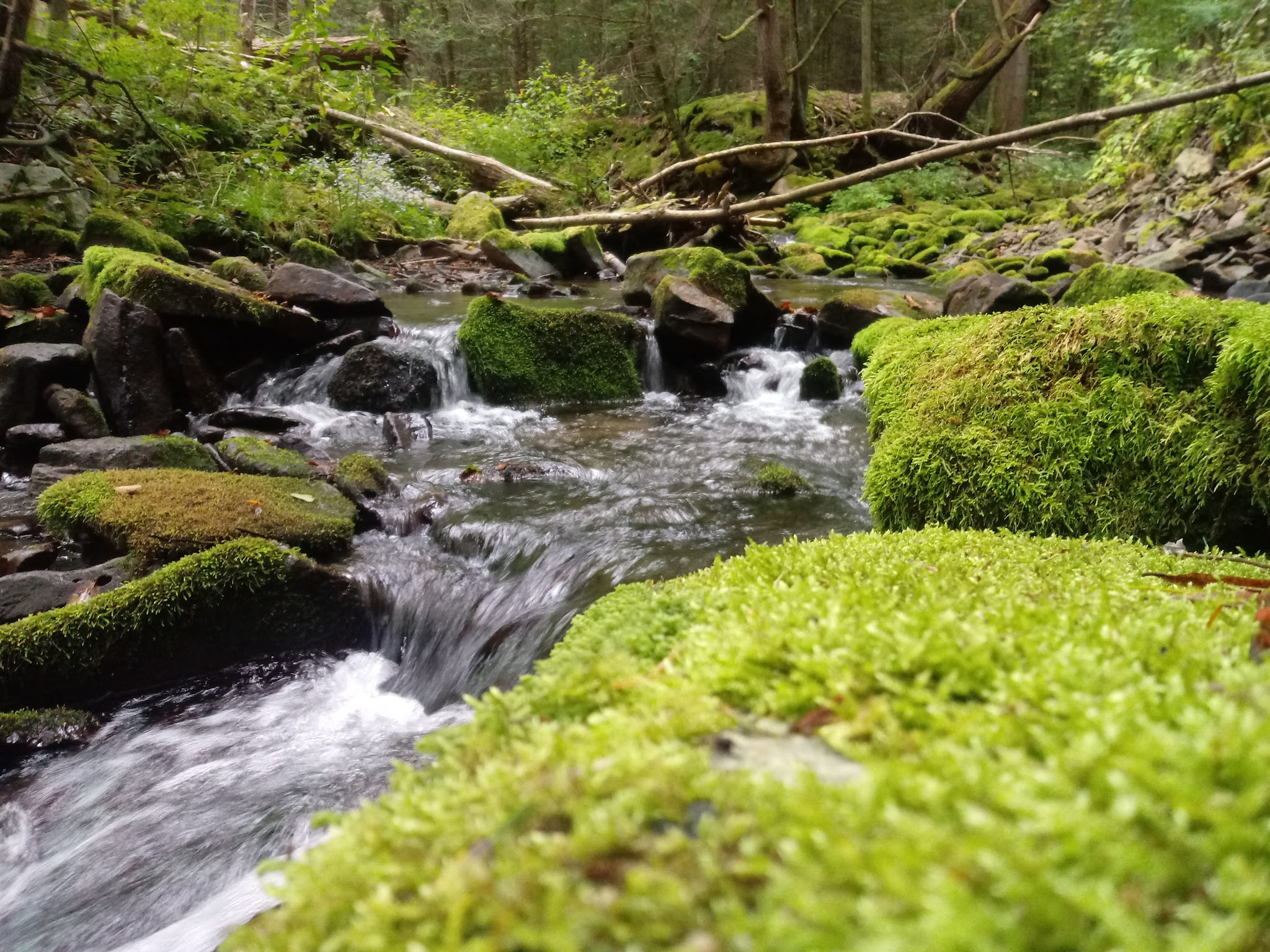 Ravensburg State Park