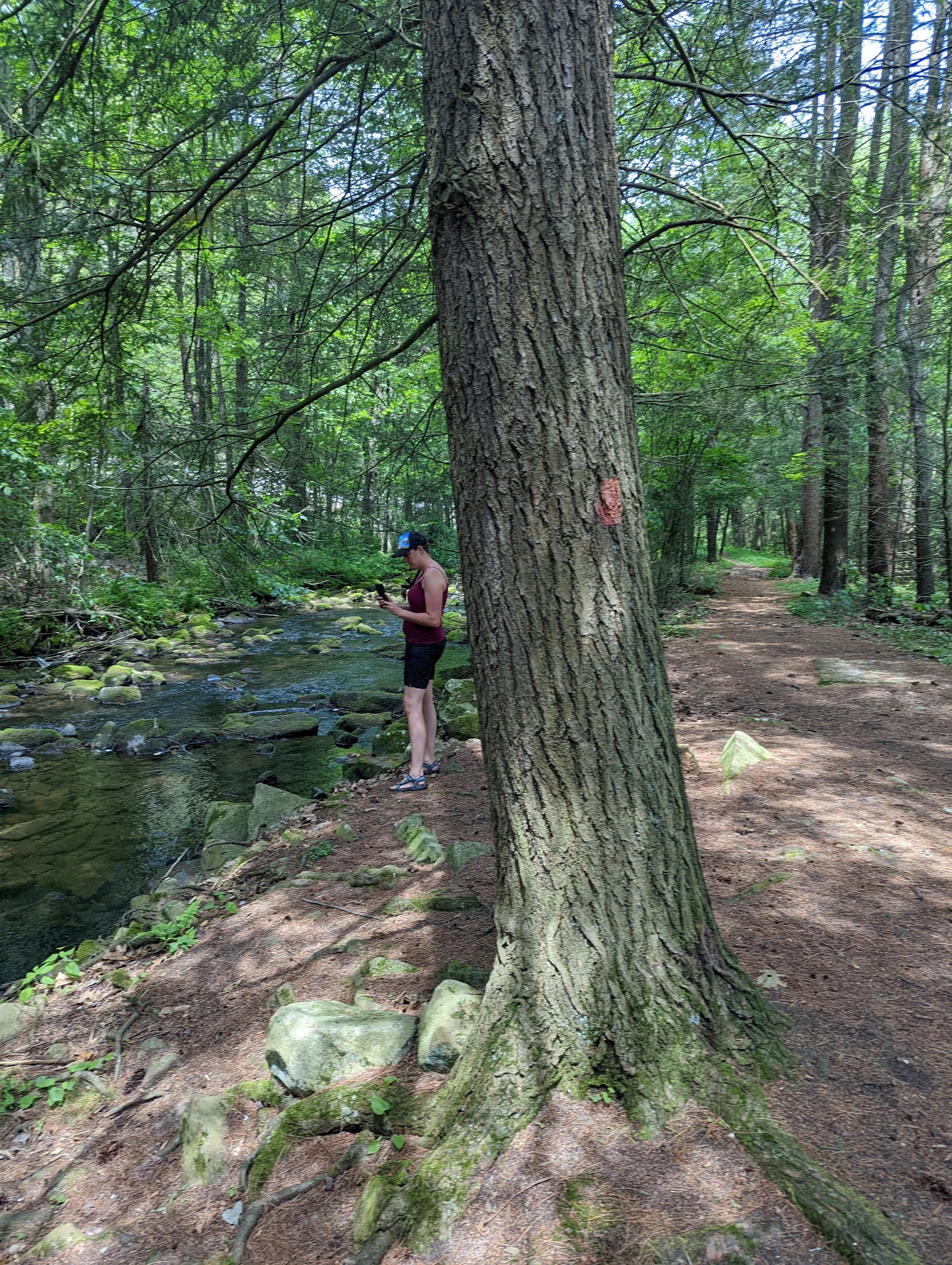 Ravensburg State Park