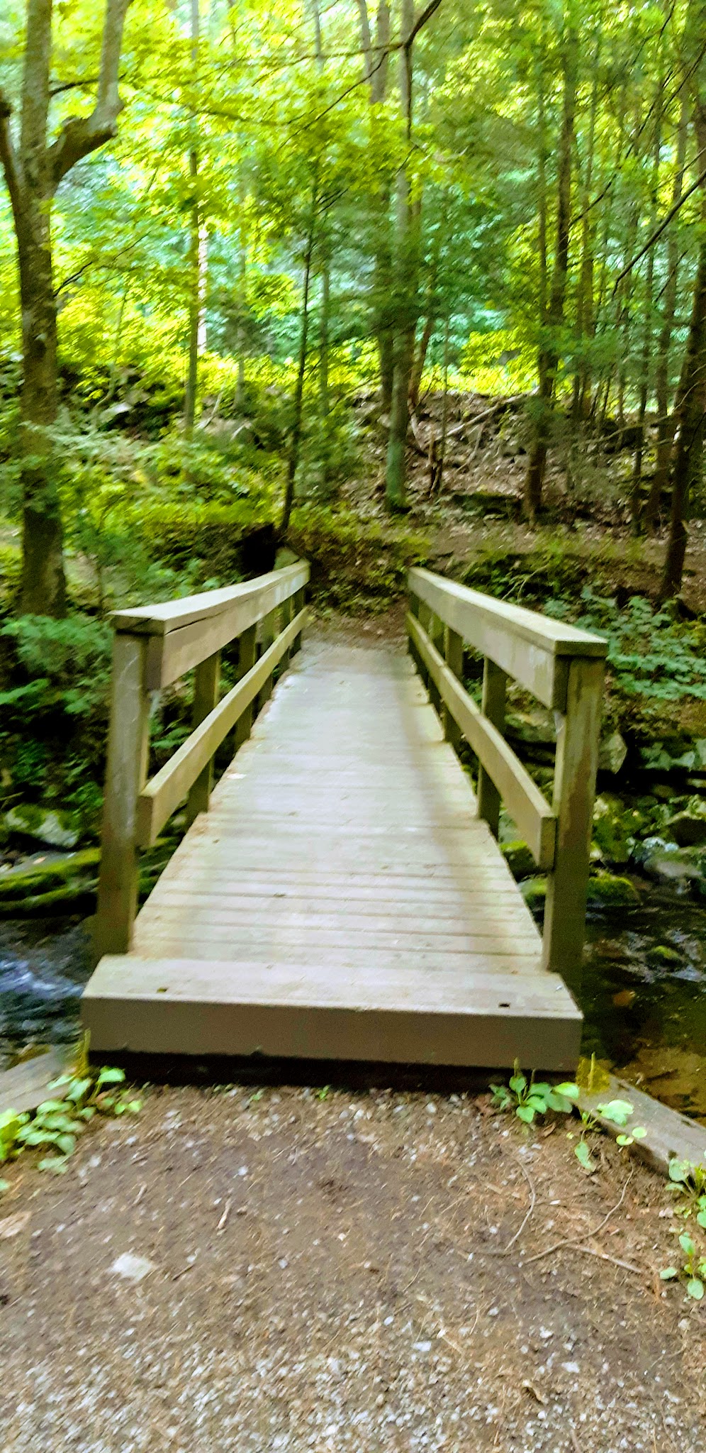 Ravensburg State Park