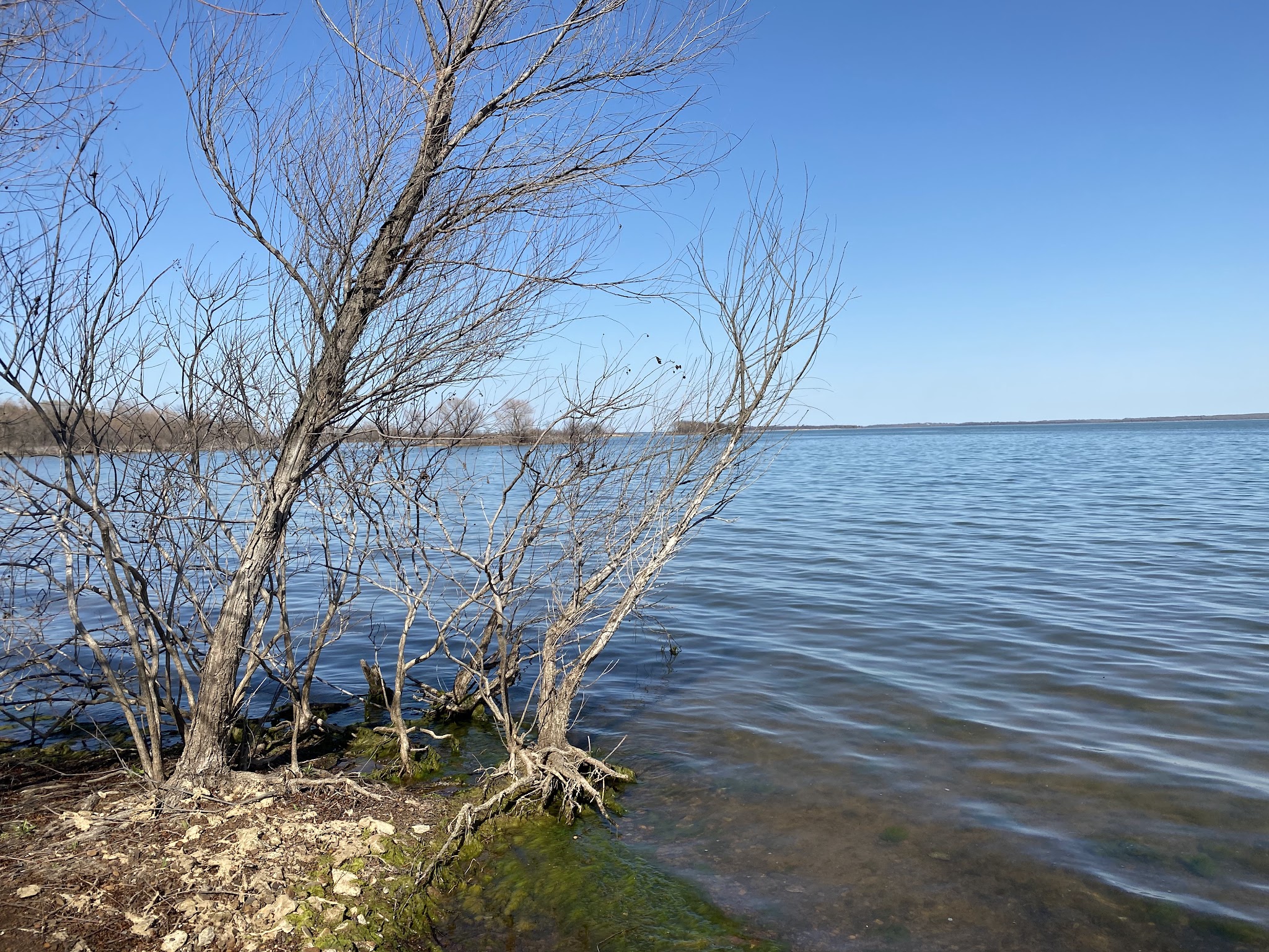 Ray Roberts Lake State Park Johnson Branch