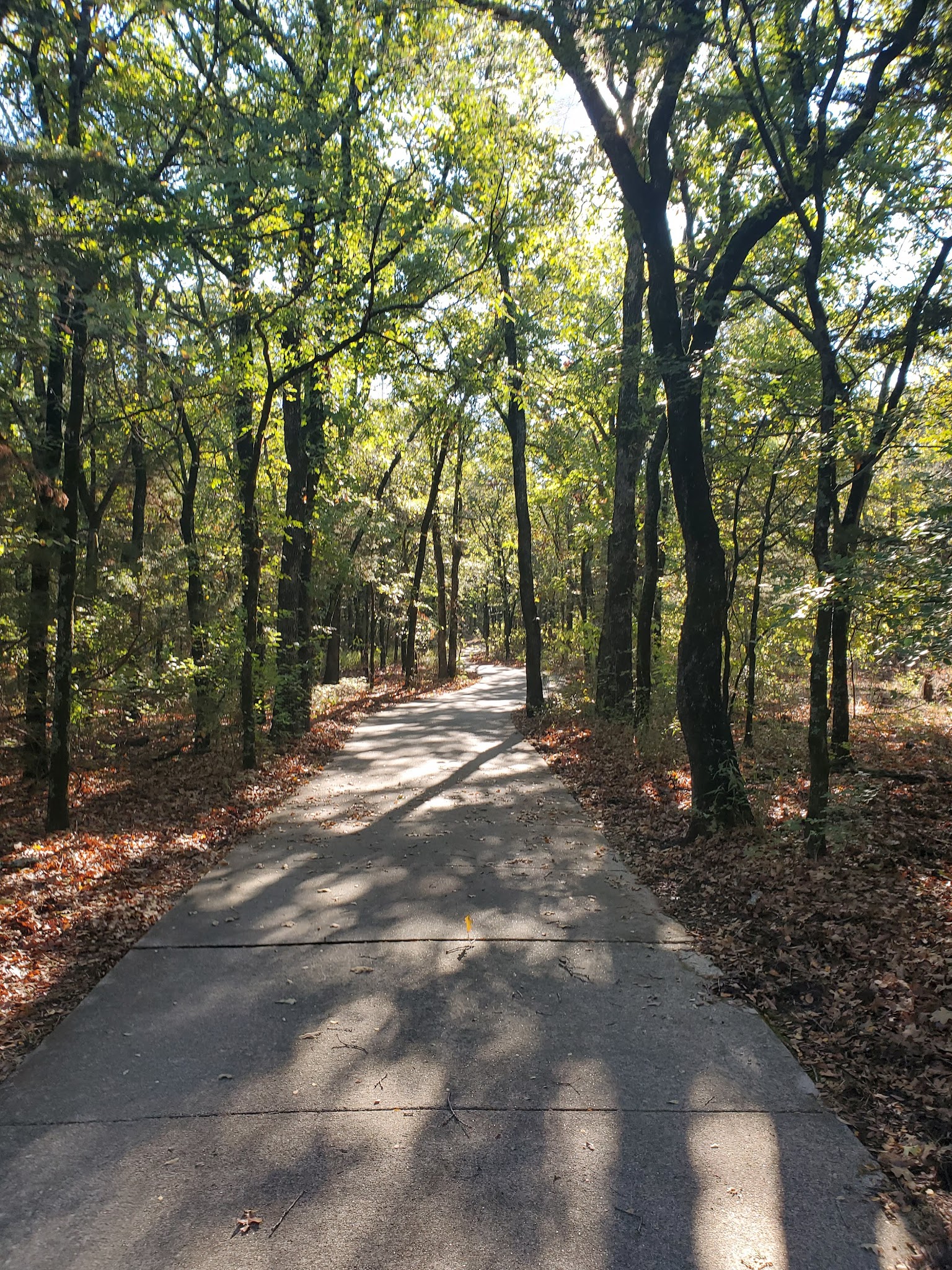 Ray Roberts Lake State Park Johnson Branch