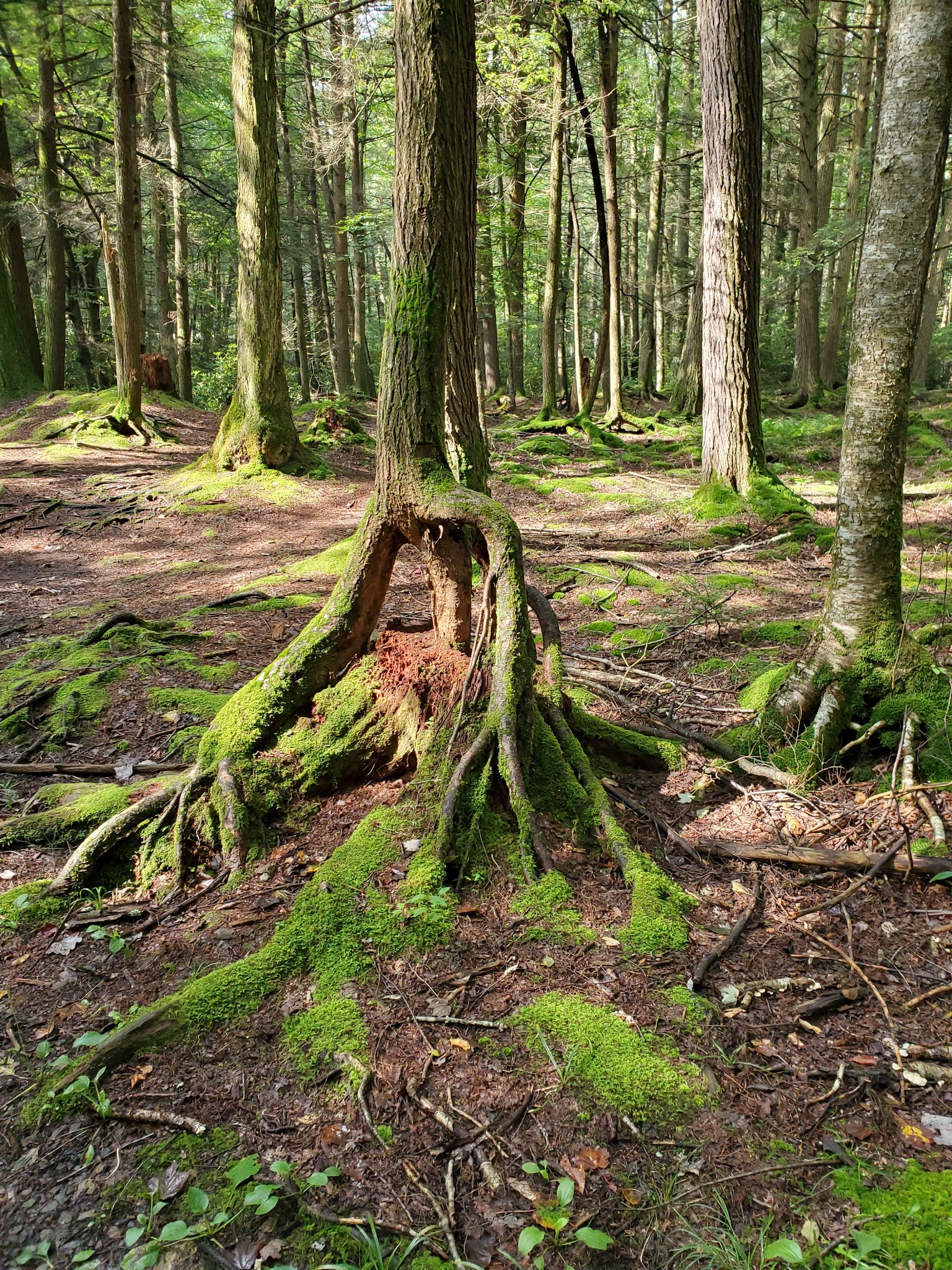 Raymond B Winter State Park