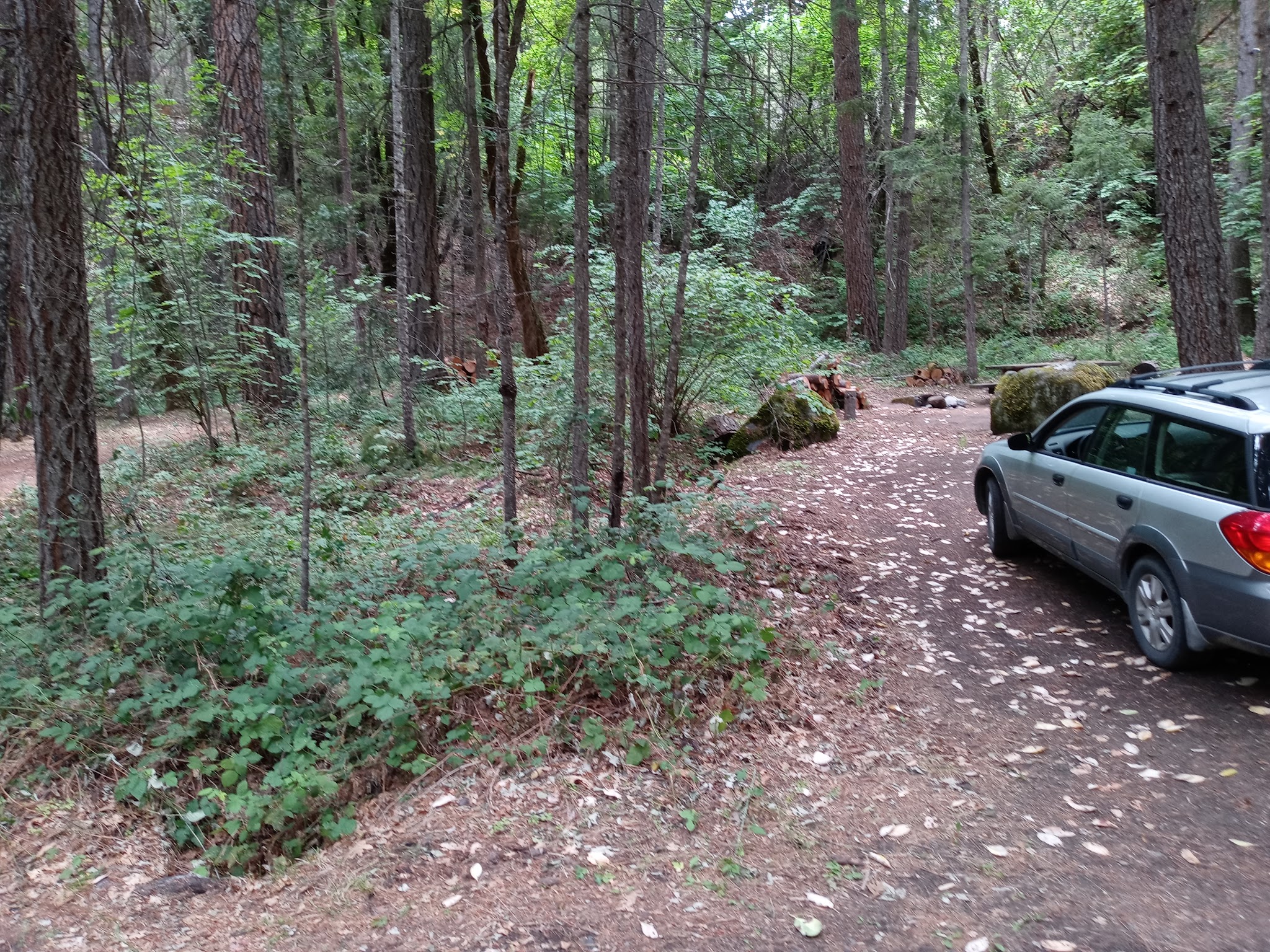 Red Bank Campground