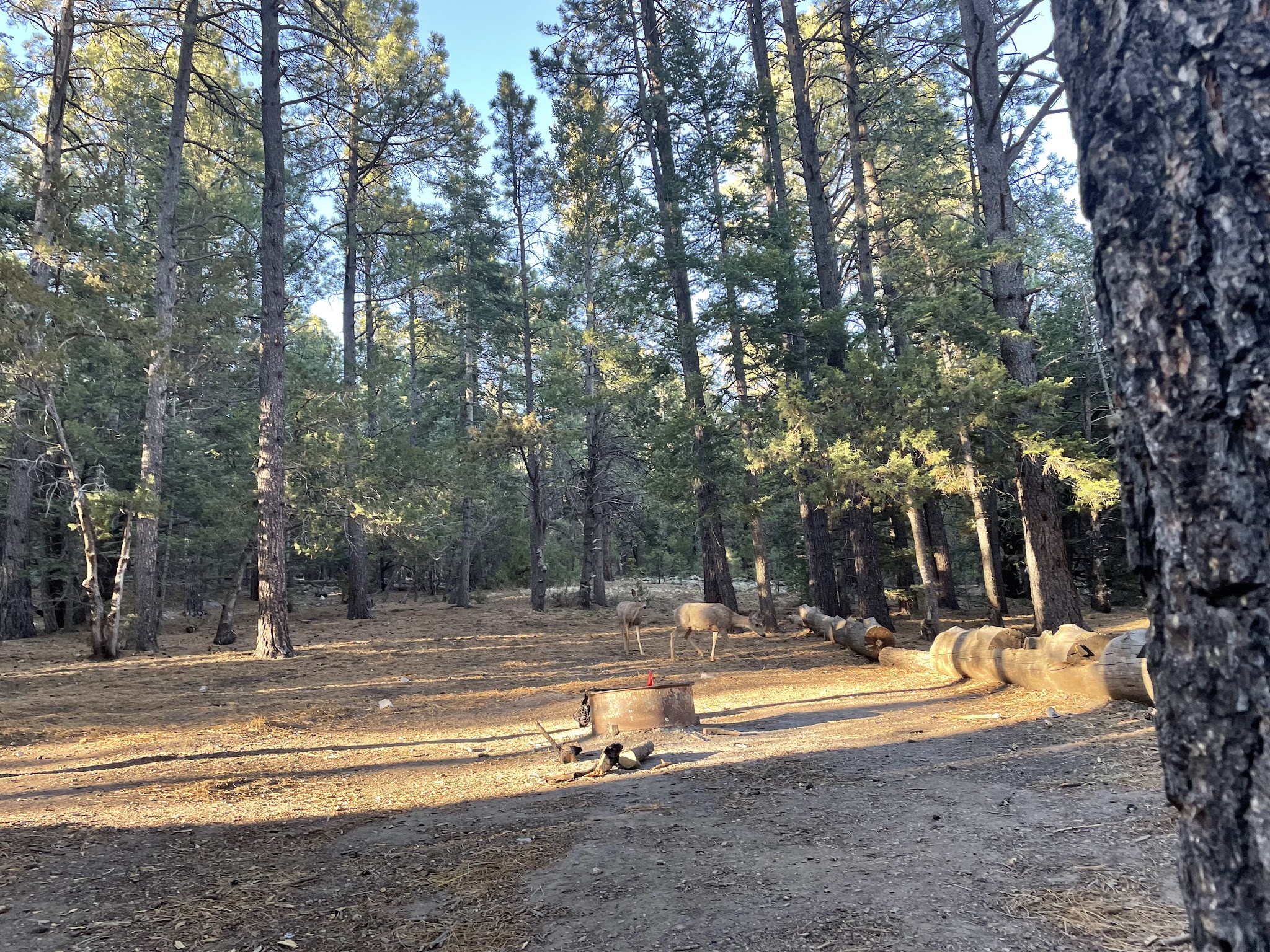 Red Canyon Campground