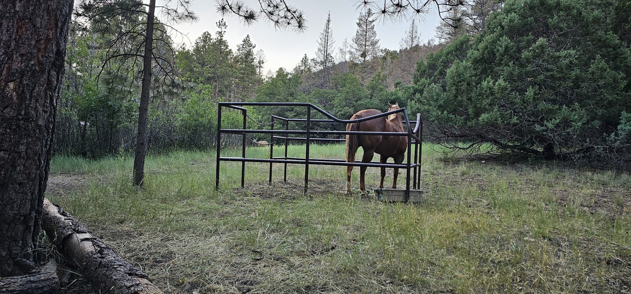 Red Canyon Campground