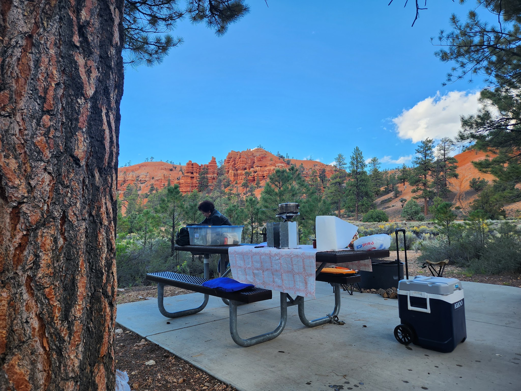 Red Canyon Campground