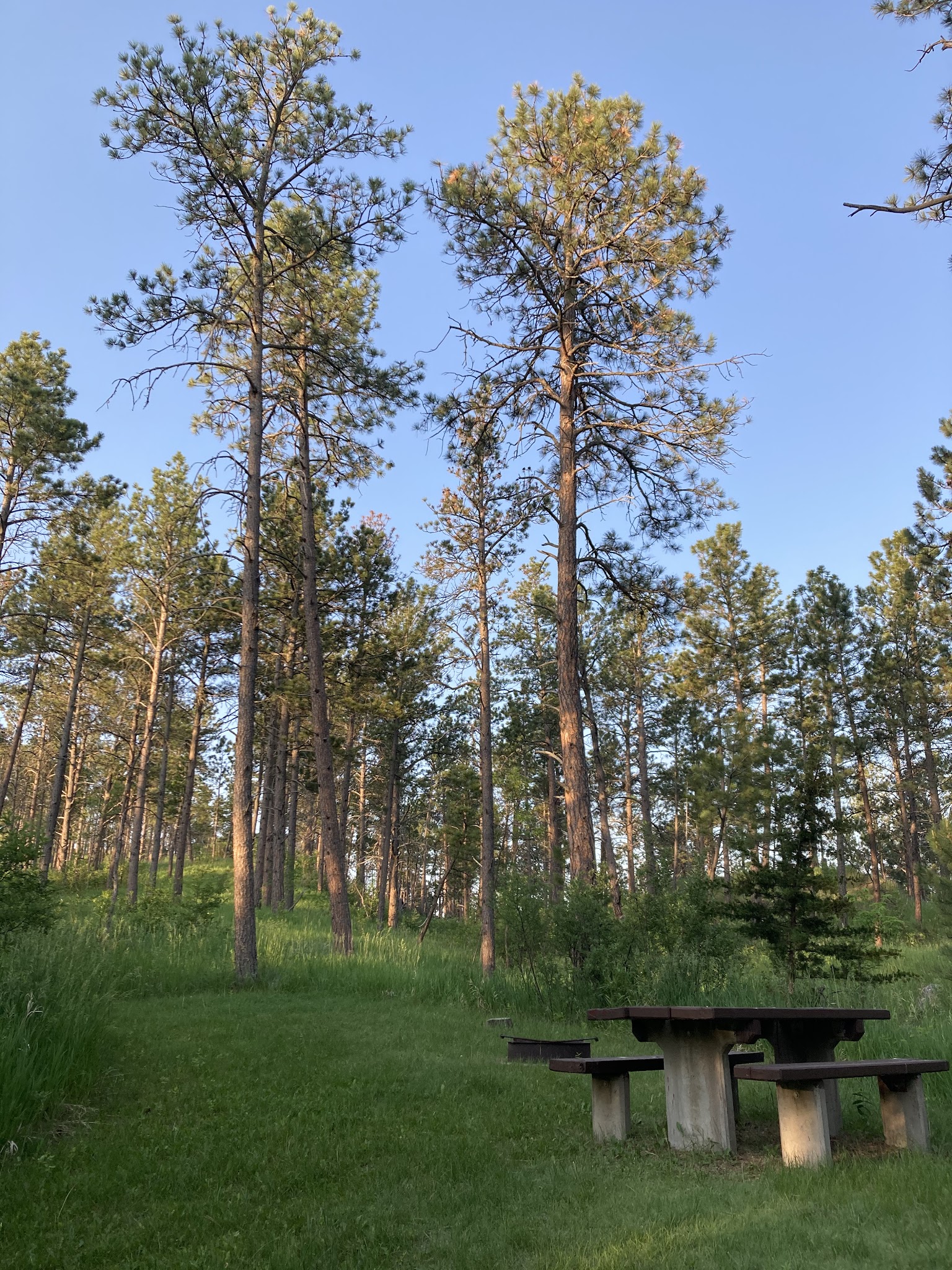 Red Cloud Campground