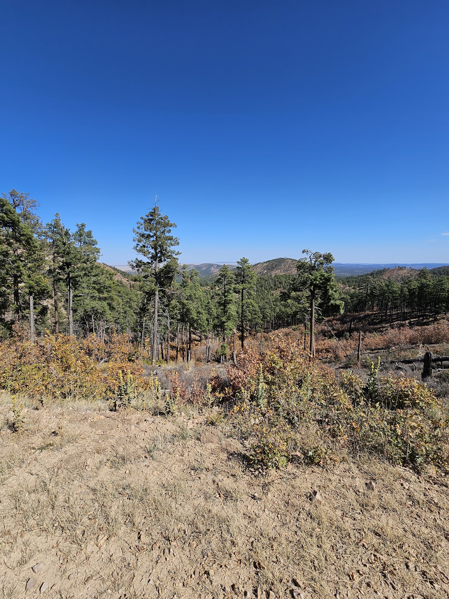 Red Cloud Campground