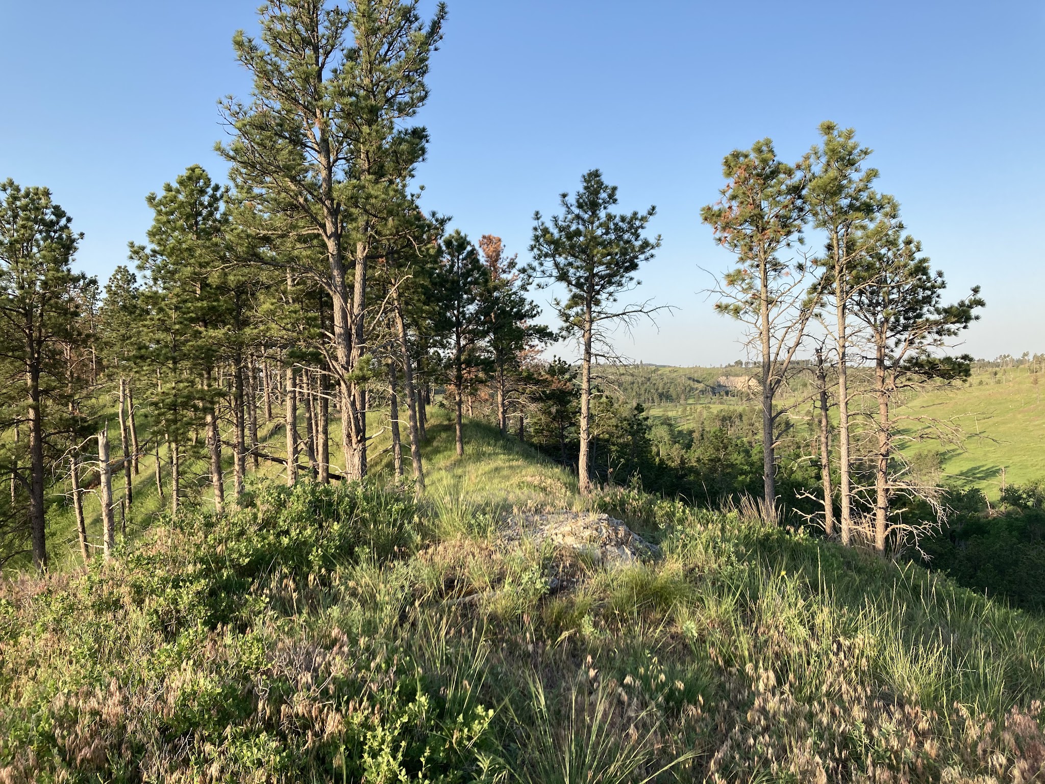 Red Cloud Campground