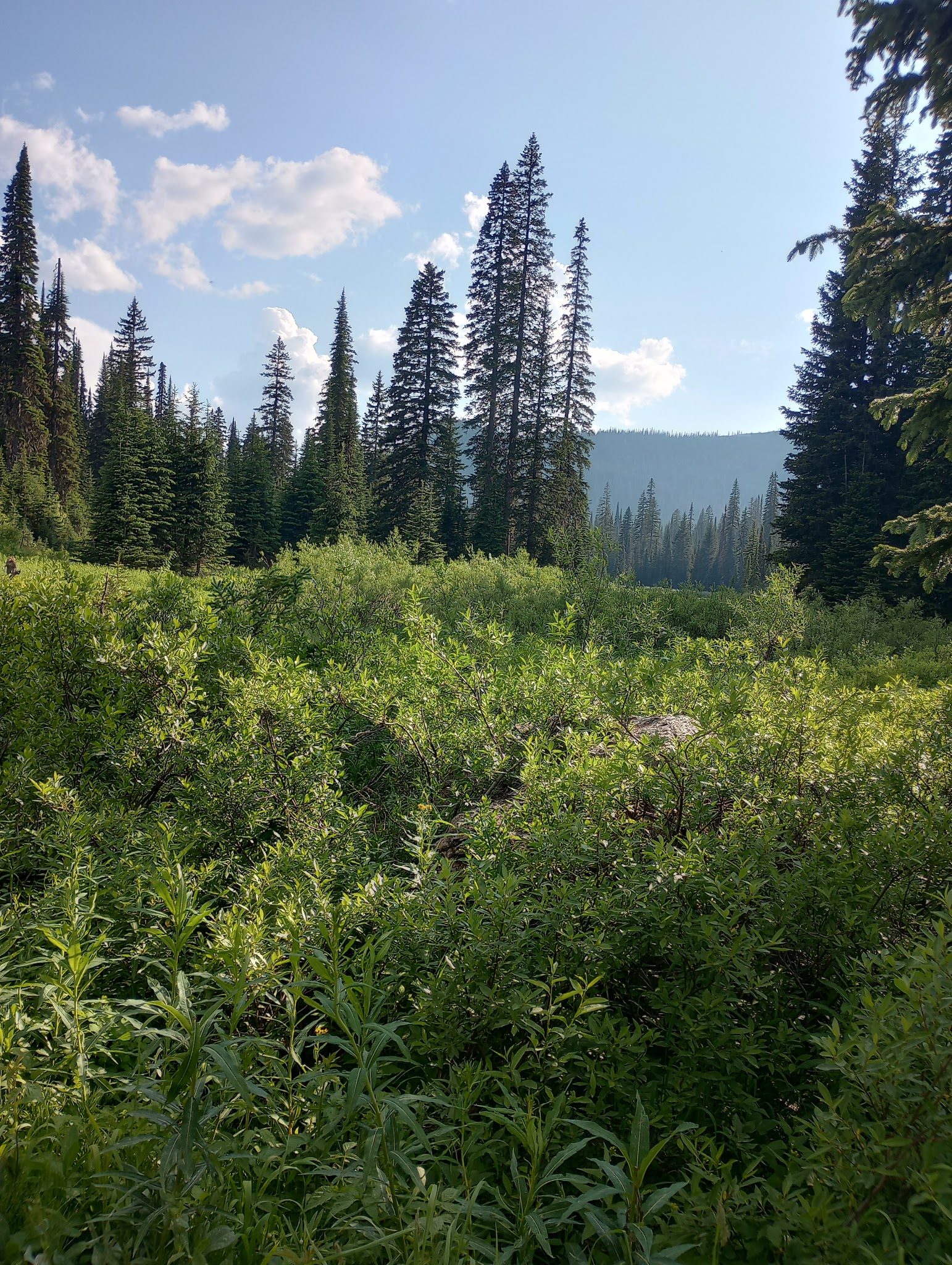 Red Meadow Lake Campground