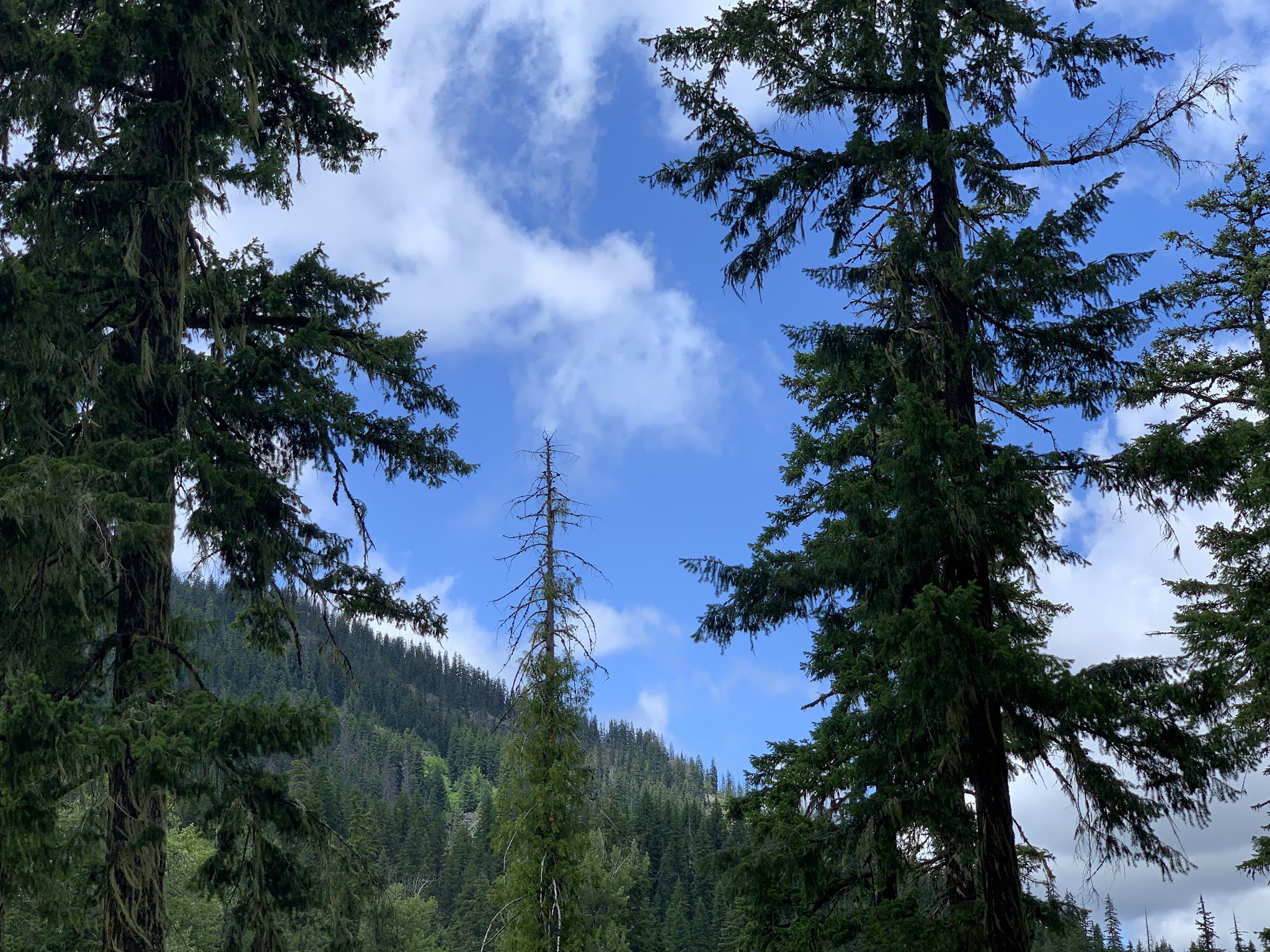 Red Mountain Campground