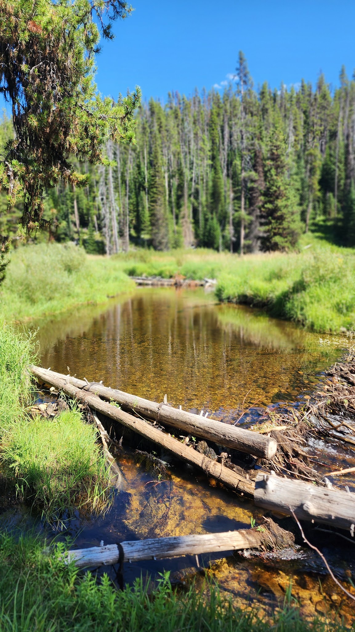 Red River Campground