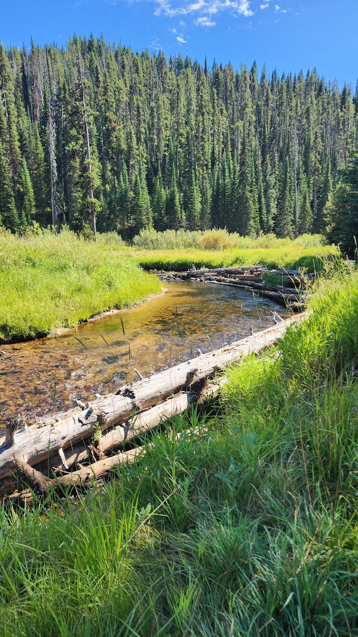 Red River Campground