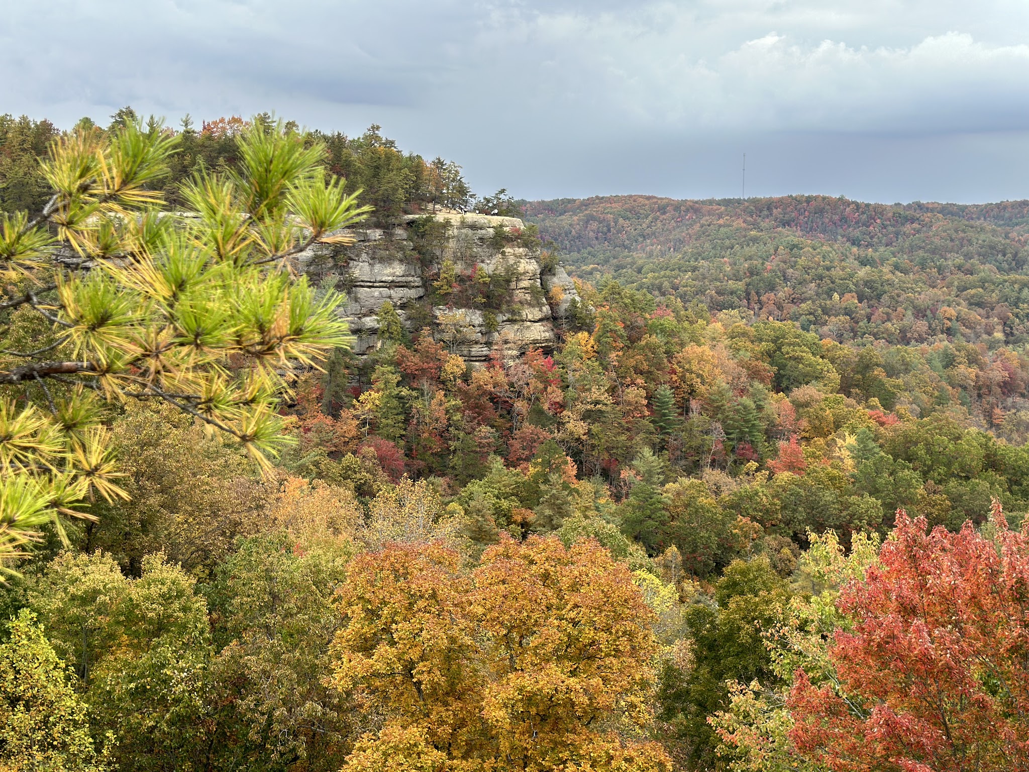 Red River Gorge Geological Area