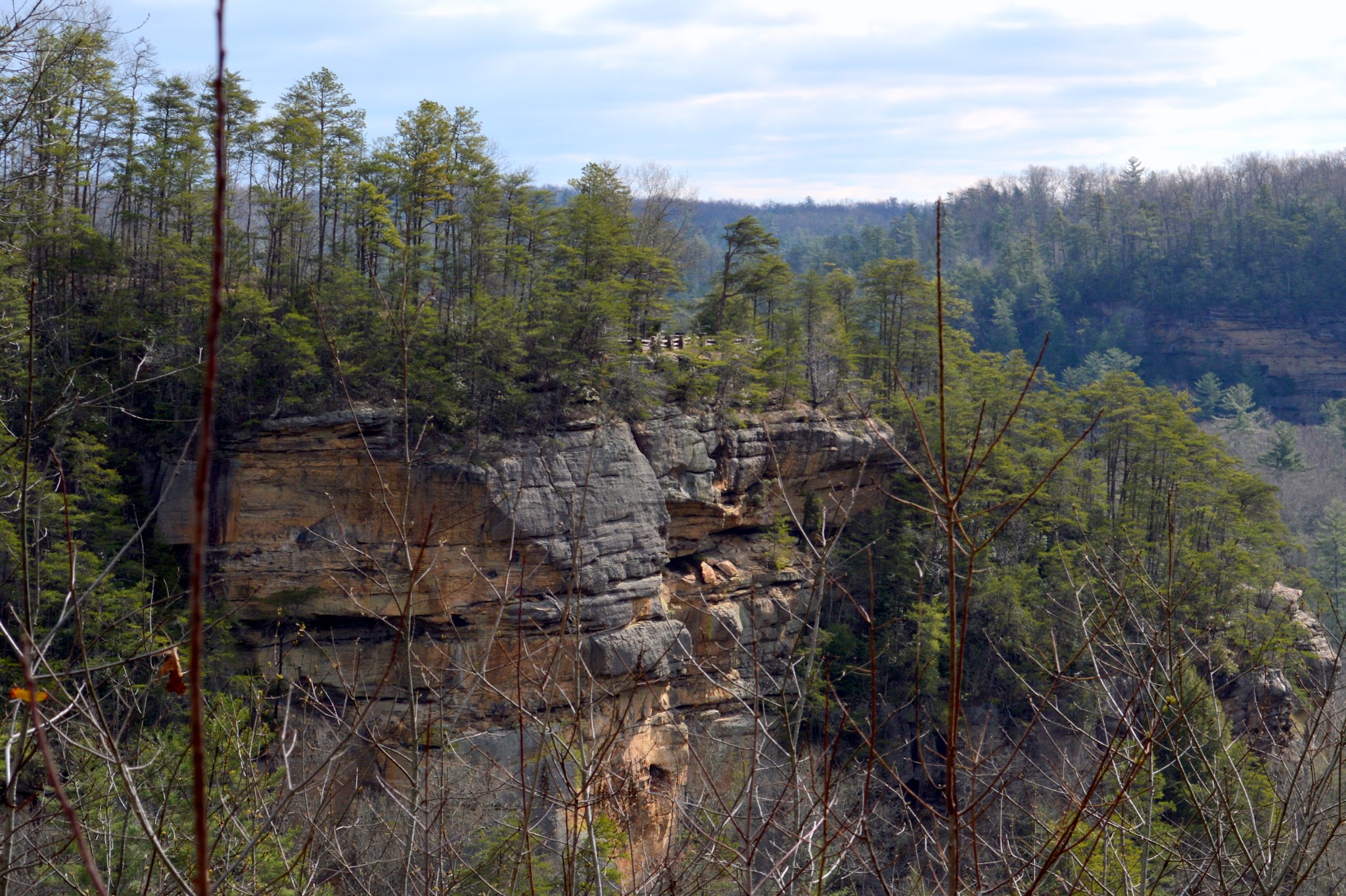 Red River Gorge Geological Area
