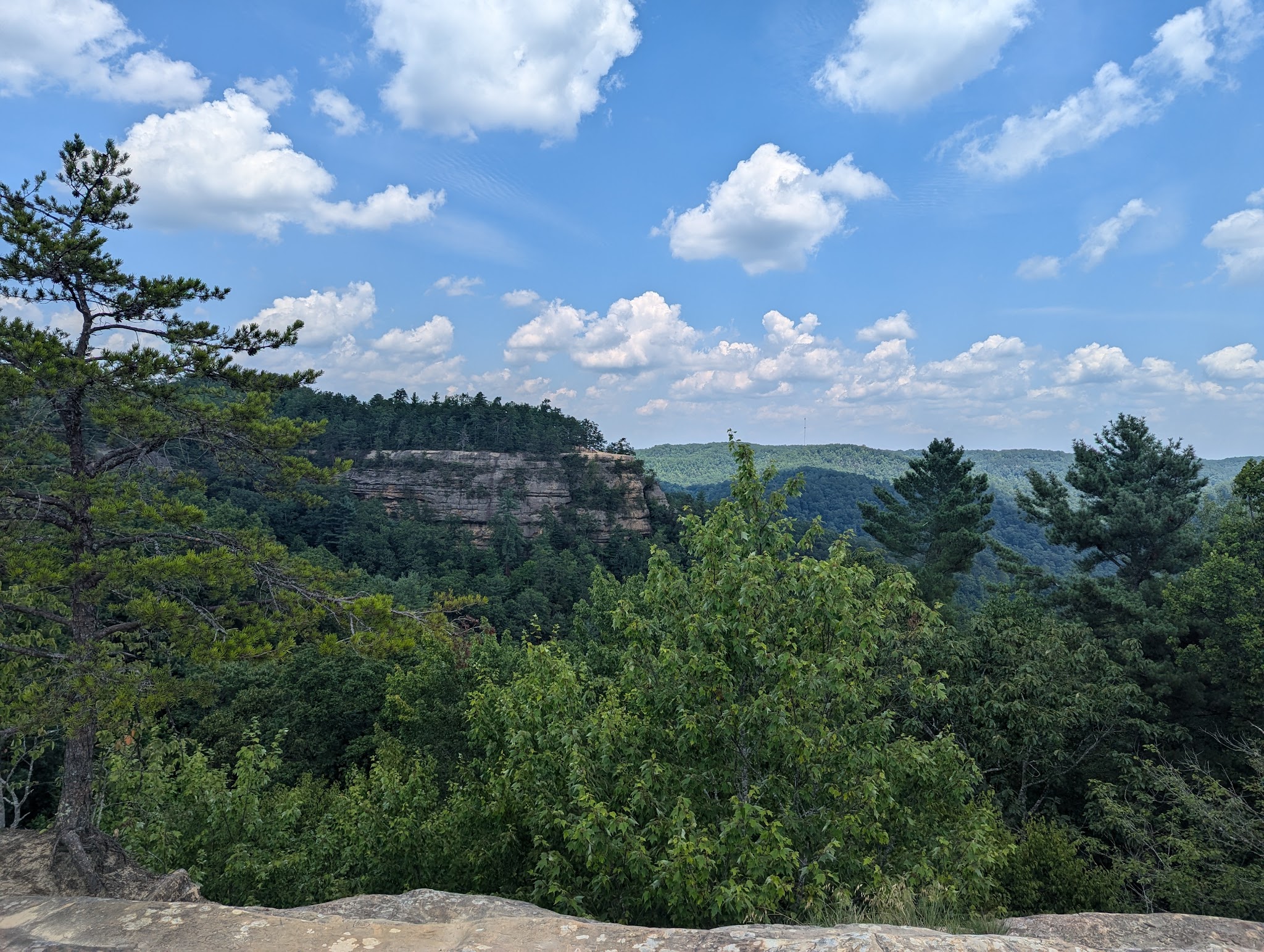 Red River Gorge Geological Area
