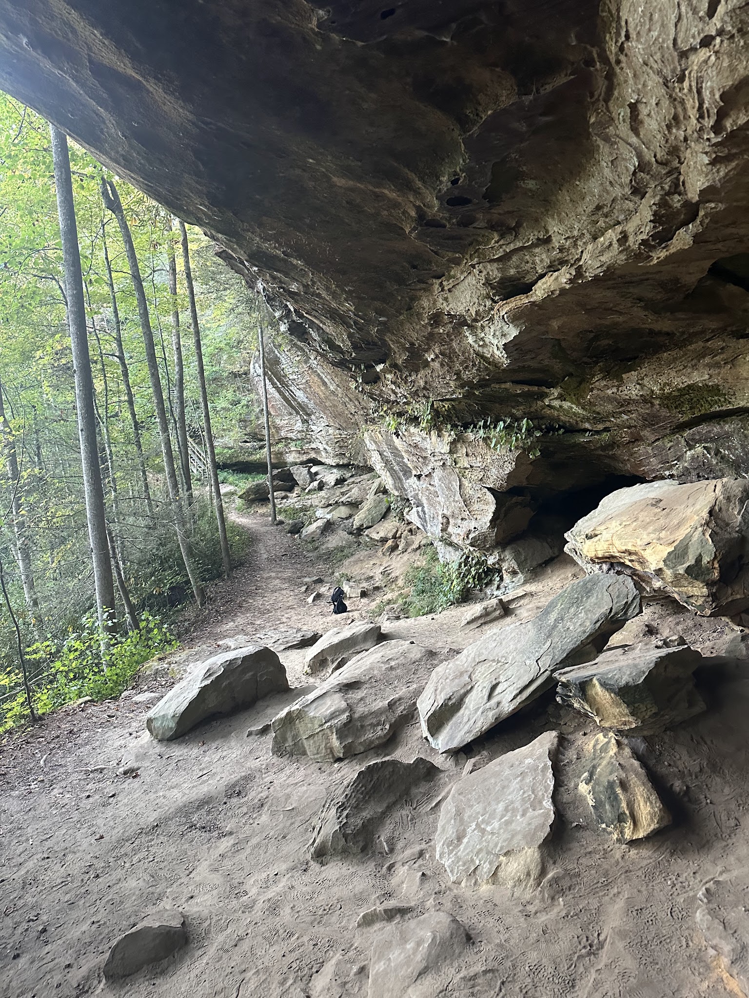 Red River Gorge Geological Area
