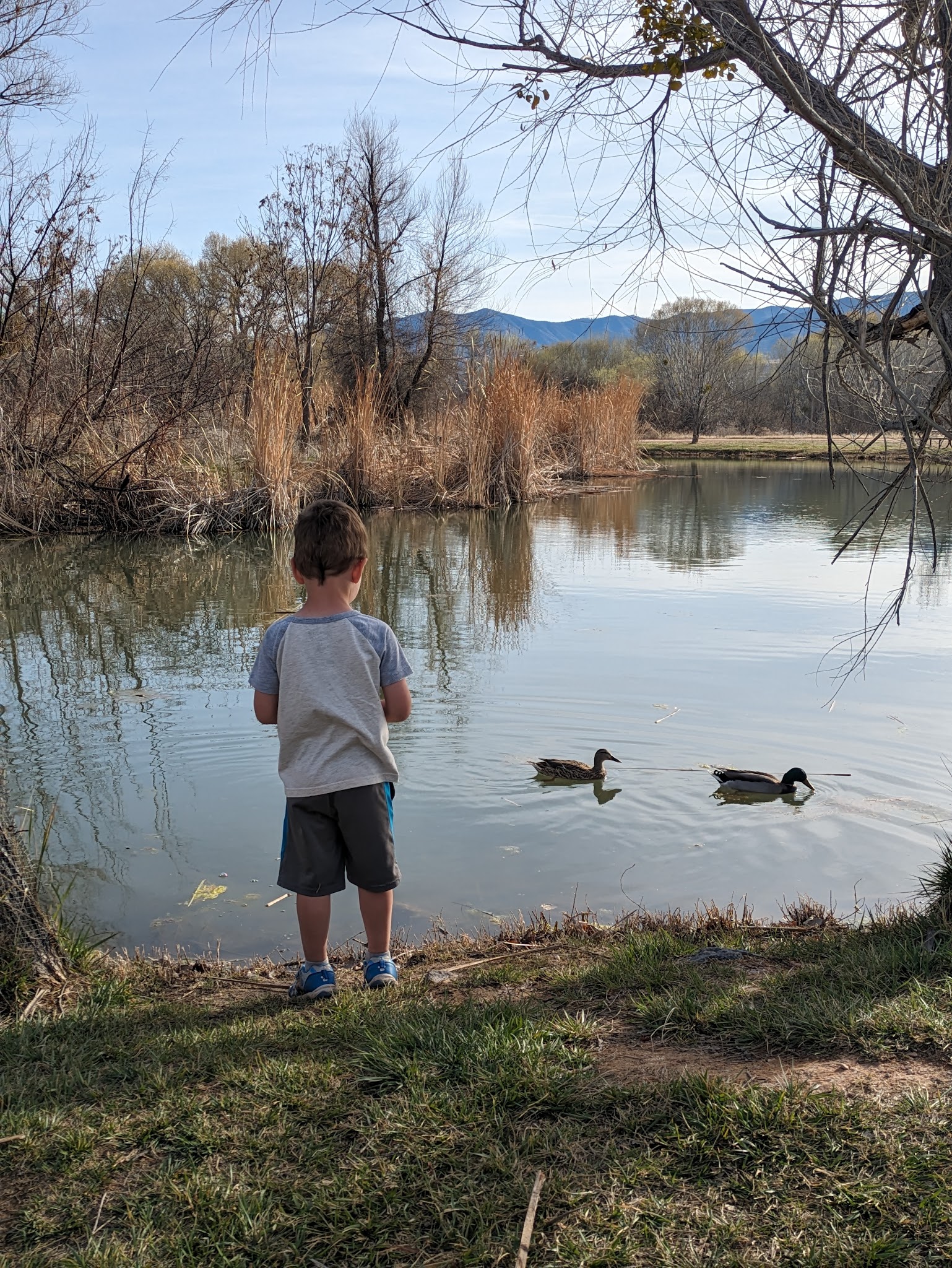 Red-Tailed Hawk Campground