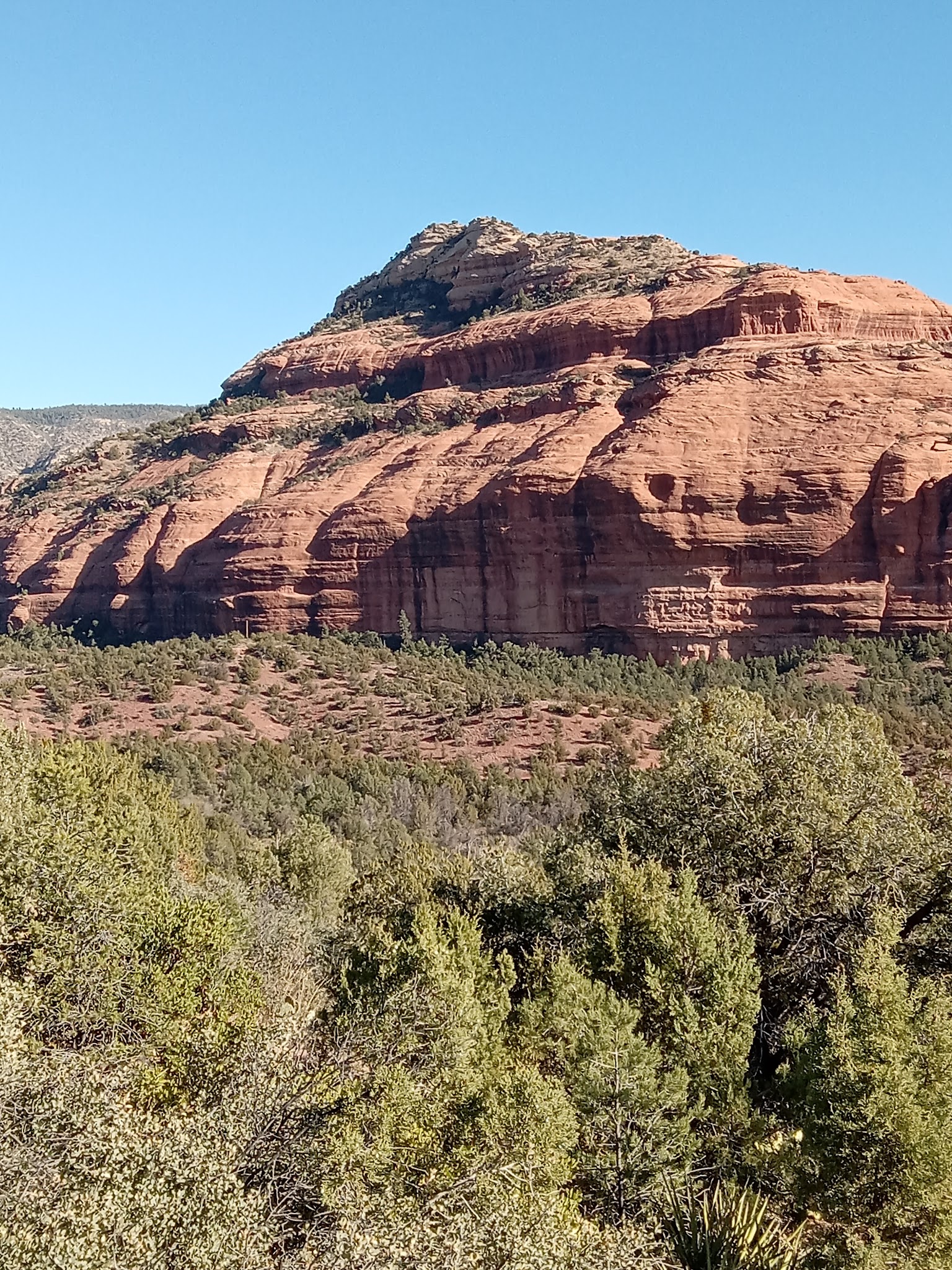 Red-Tailed Hawk Campground
