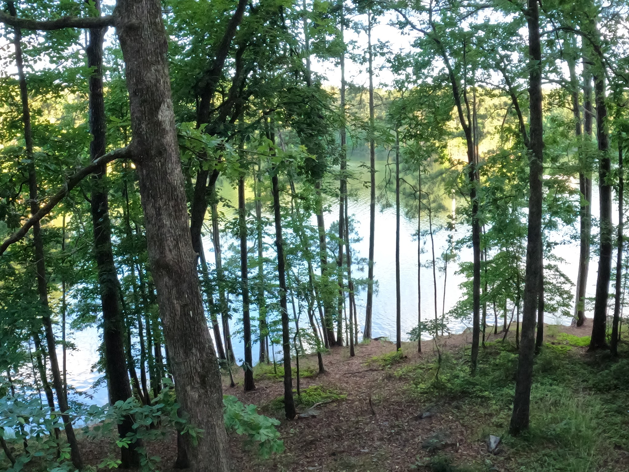 Red Top Mountain State Park