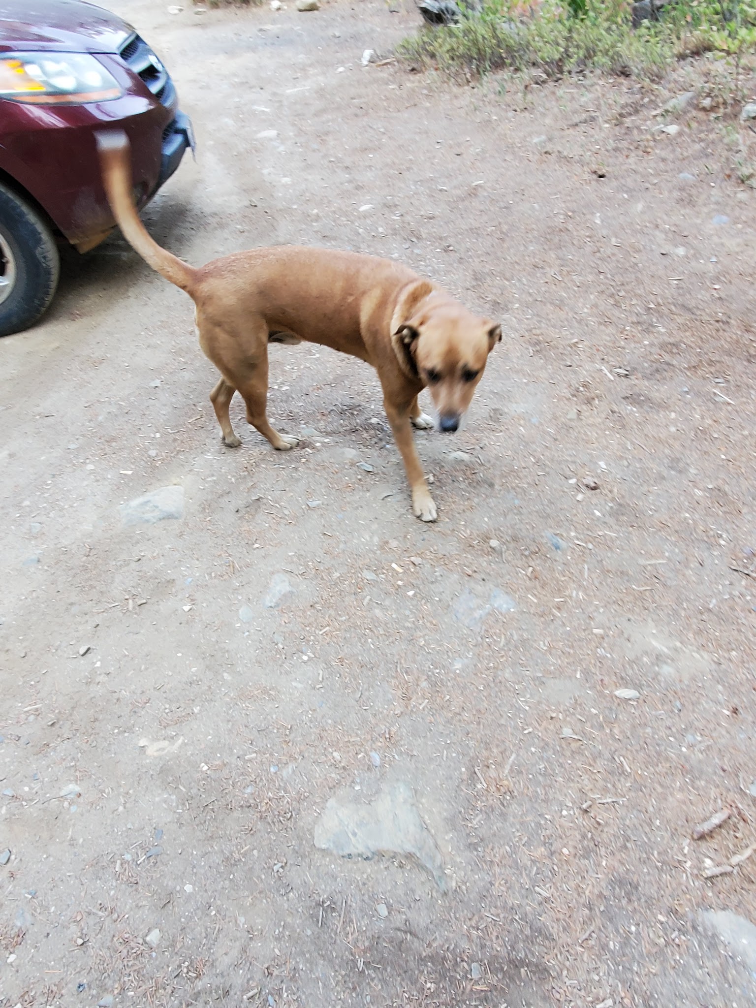 Red Bridge Campground