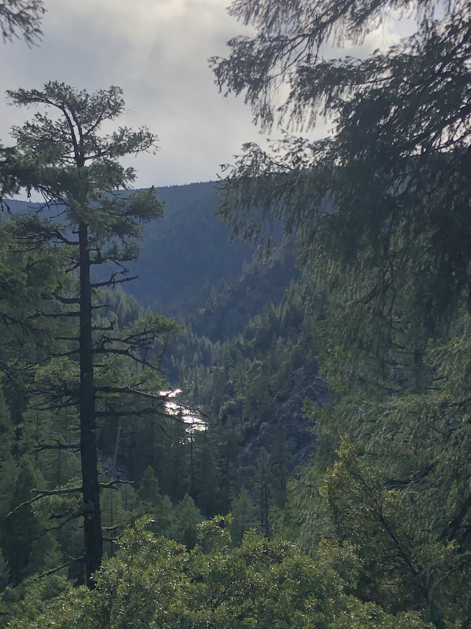 Red Bridge Campground