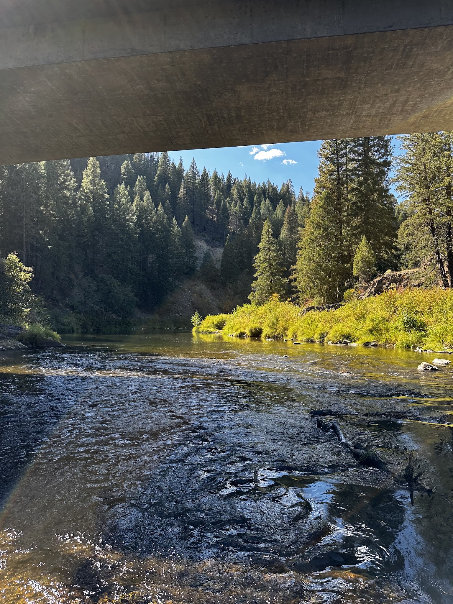 Red Bridge Campground