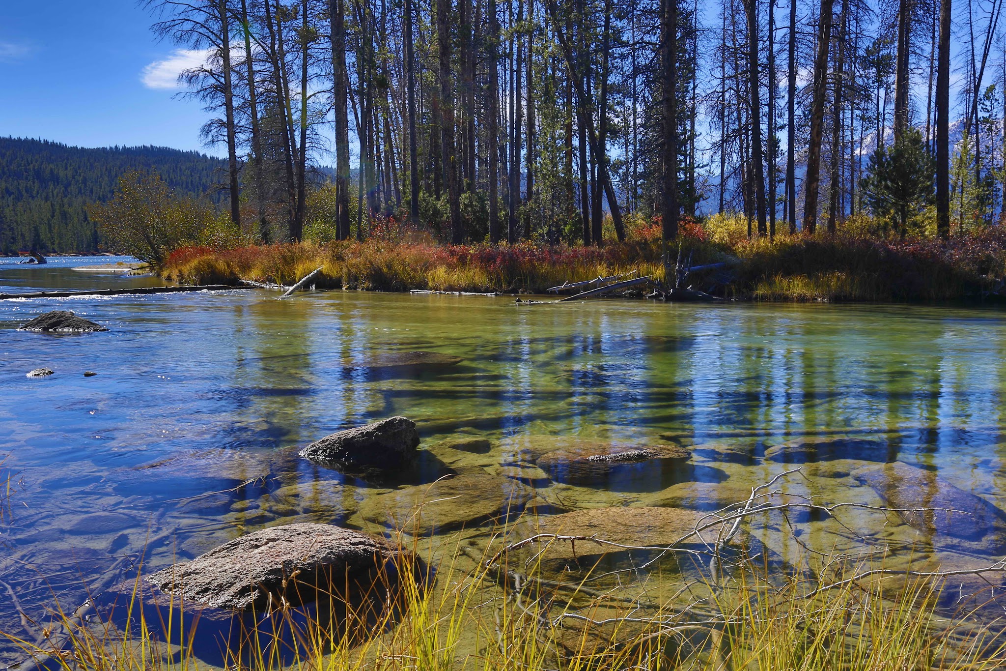 Redfish Lake Recreation Complex