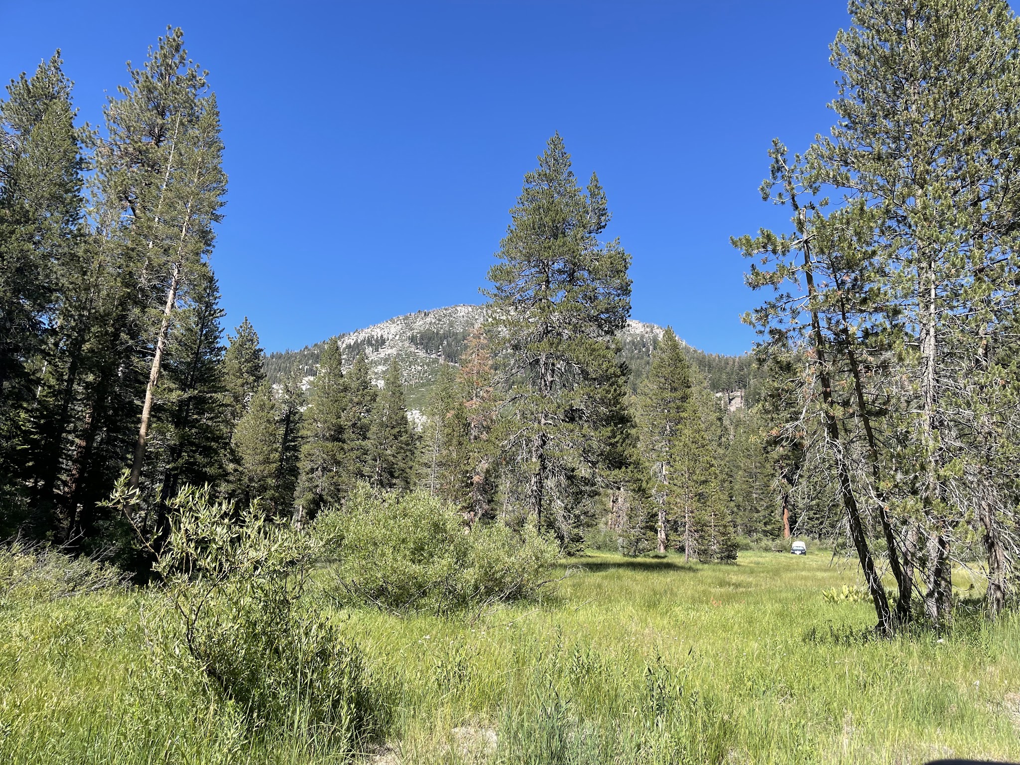 Reds Meadow Campground