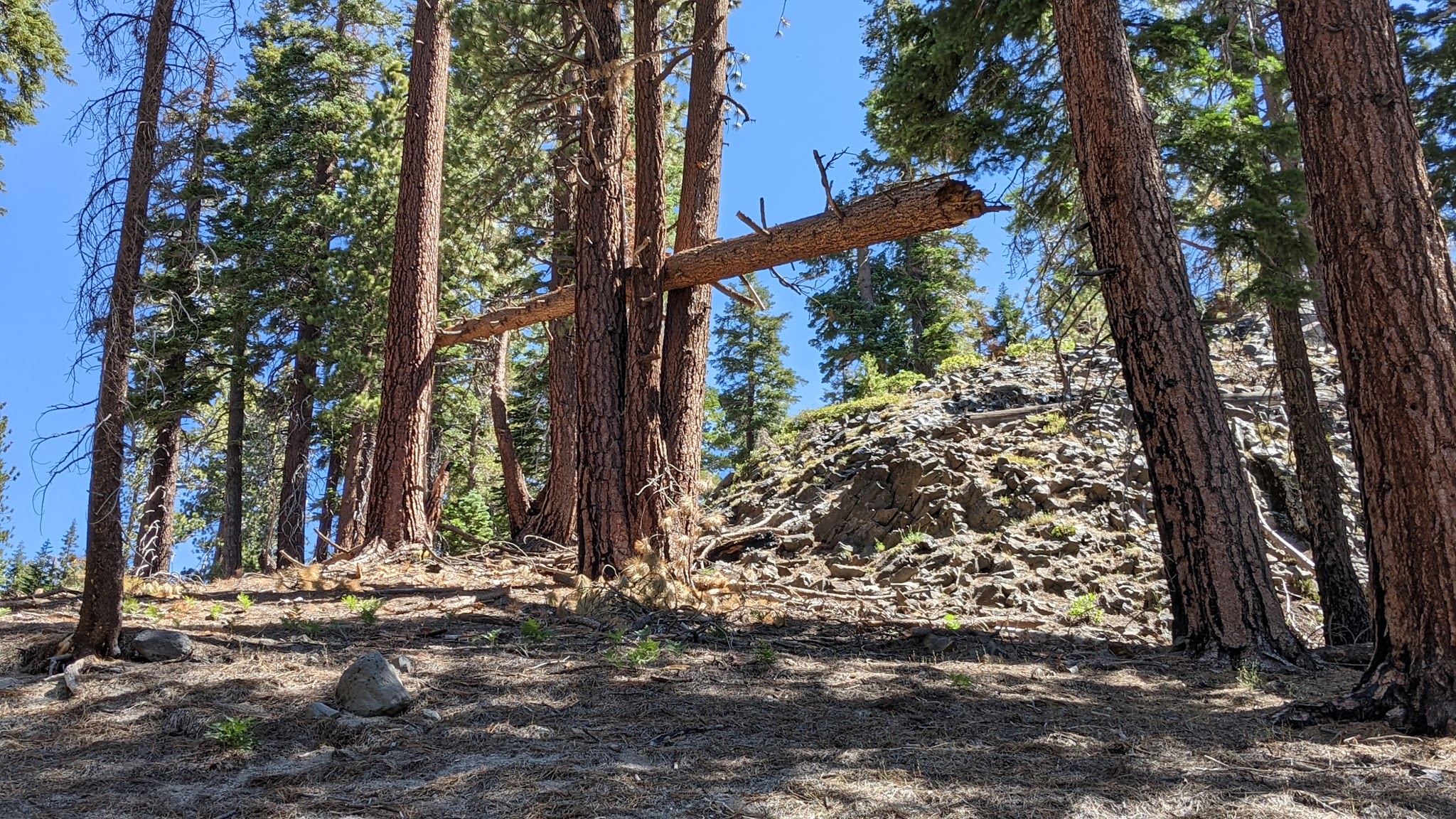 Reds Meadow Campground