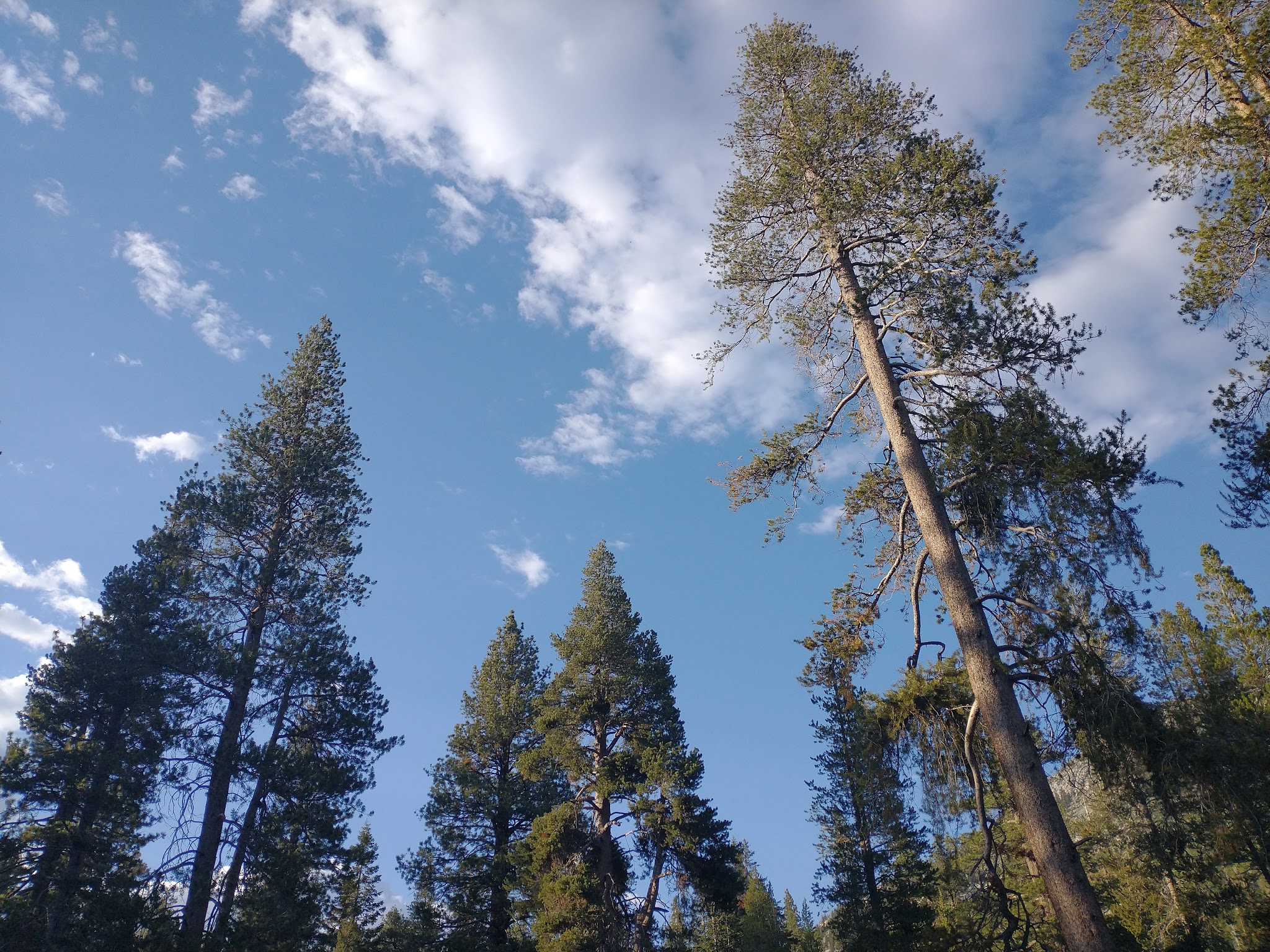 Reds Meadow Campground