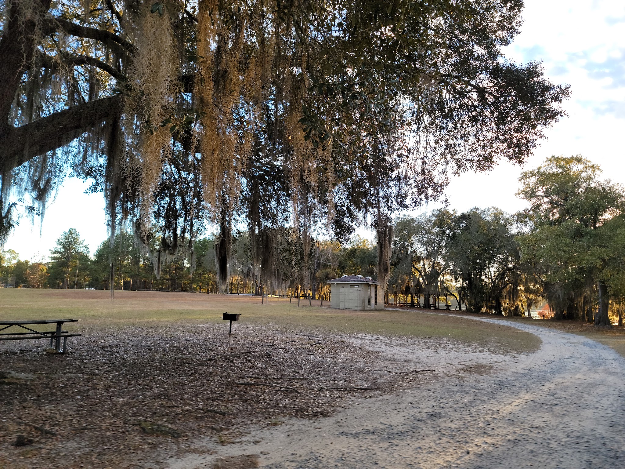 Reed Bingham State Park