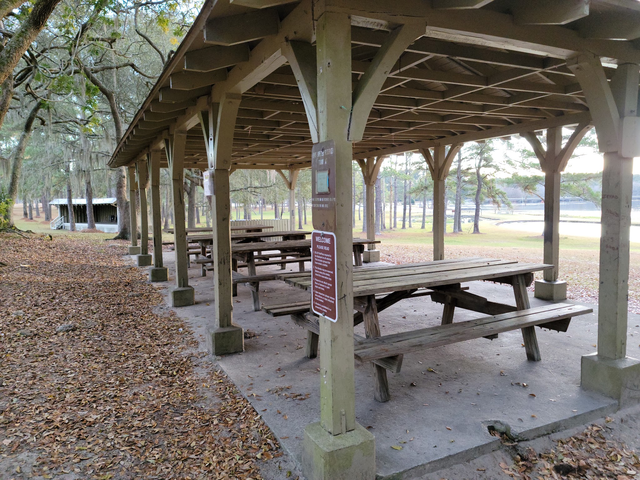 Reed Bingham State Park