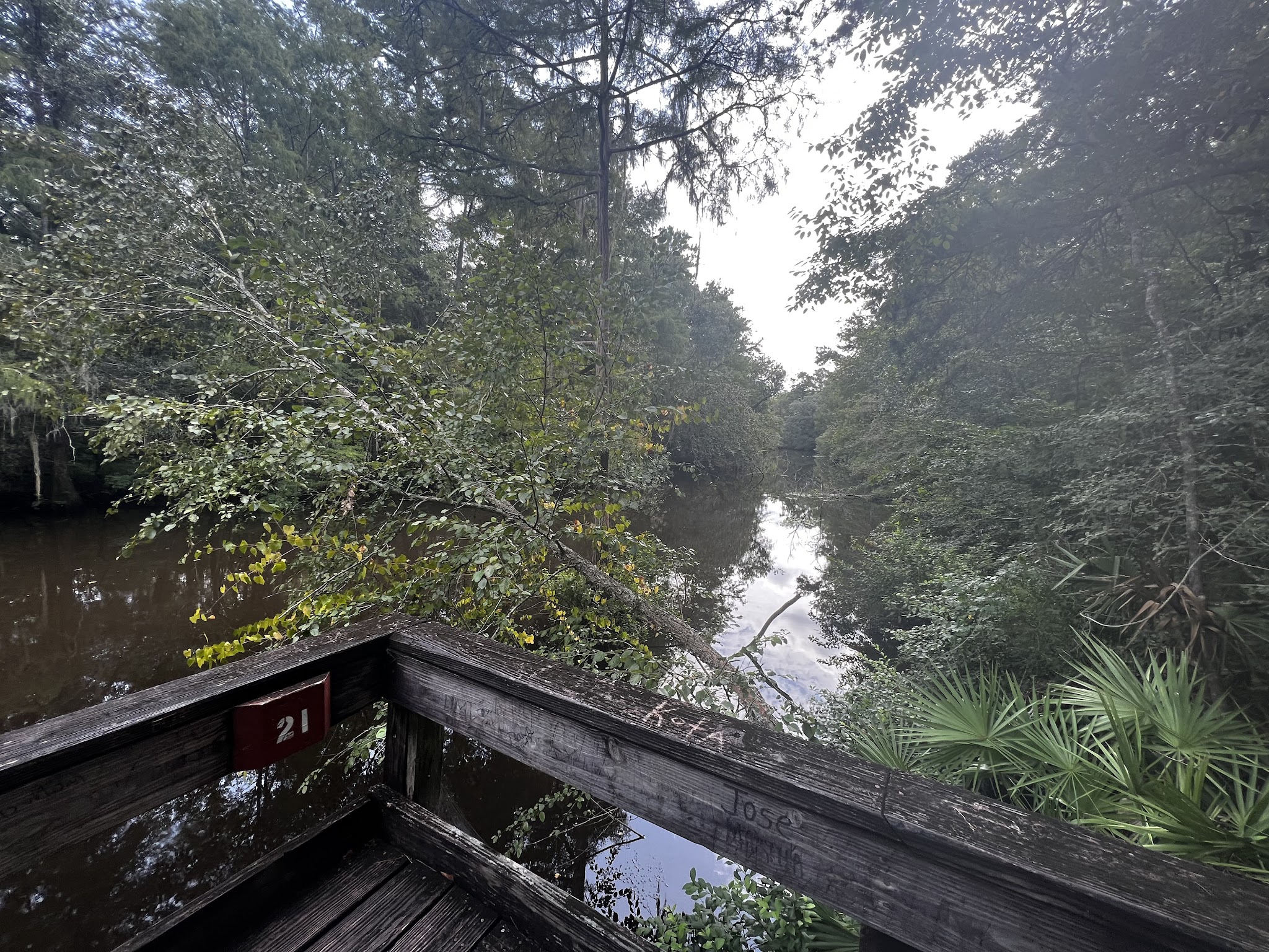 Reed Bingham State Park