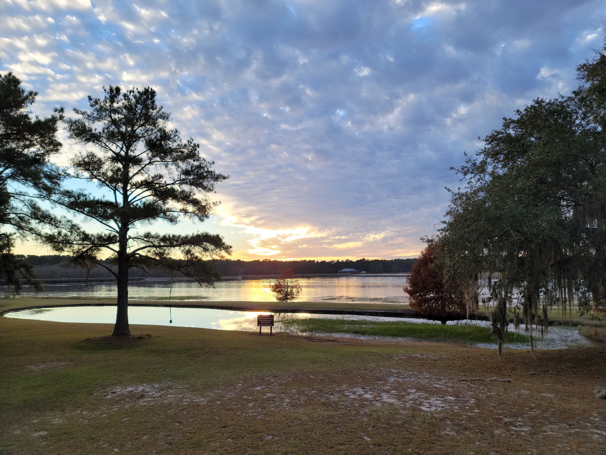 Reed Bingham State Park