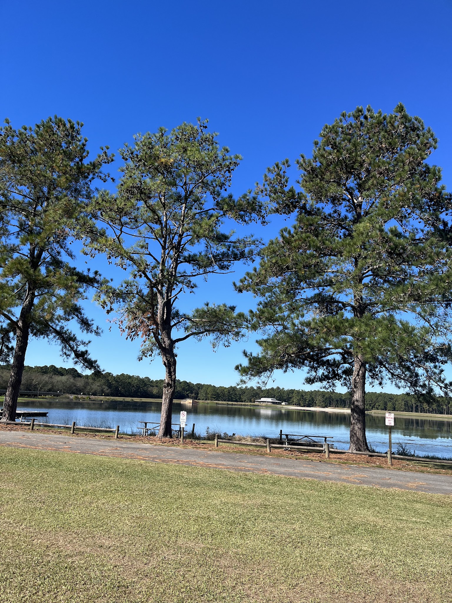 Reed Bingham State Park