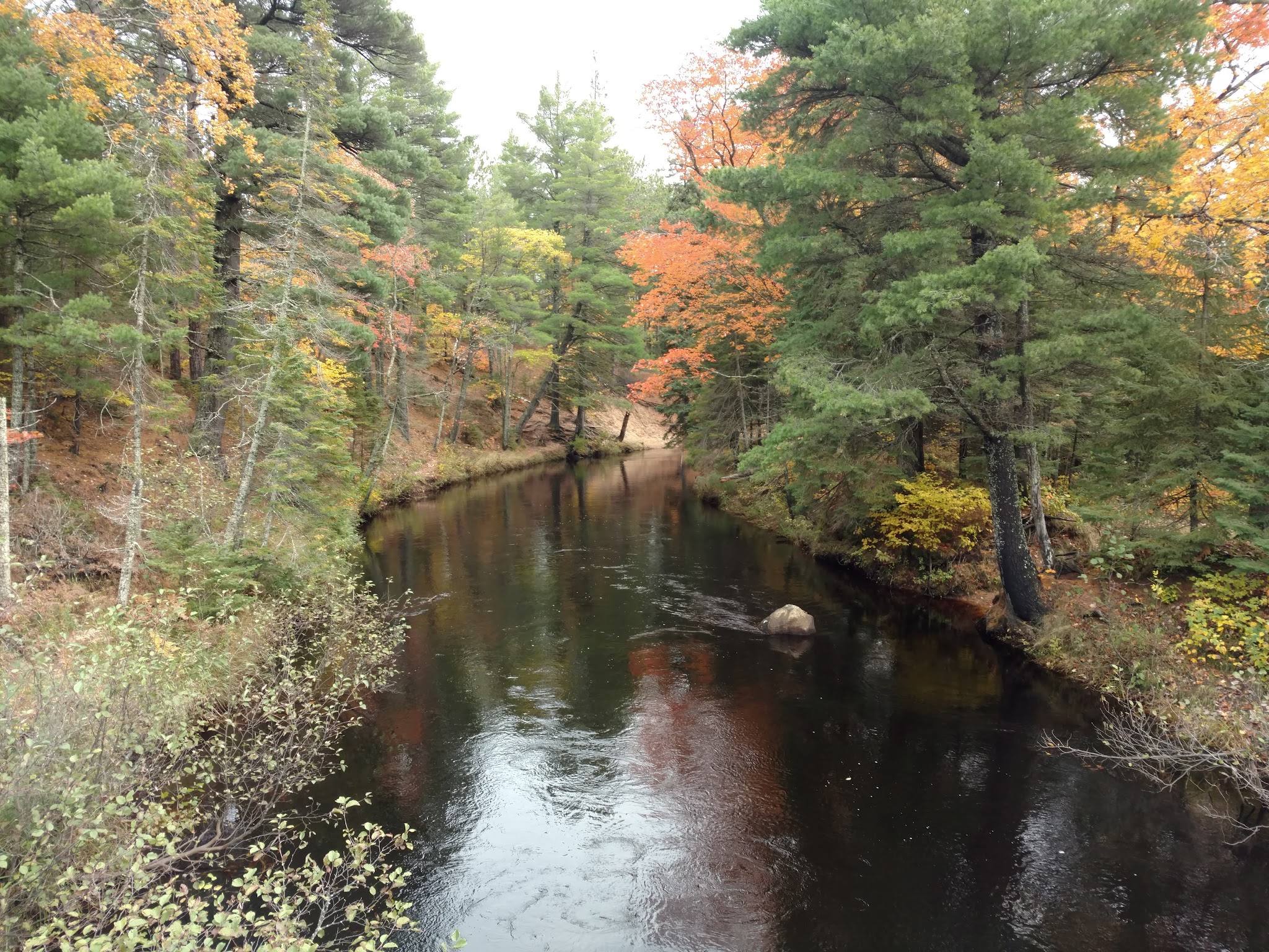 Reed & Green Bridge State Forest Campground