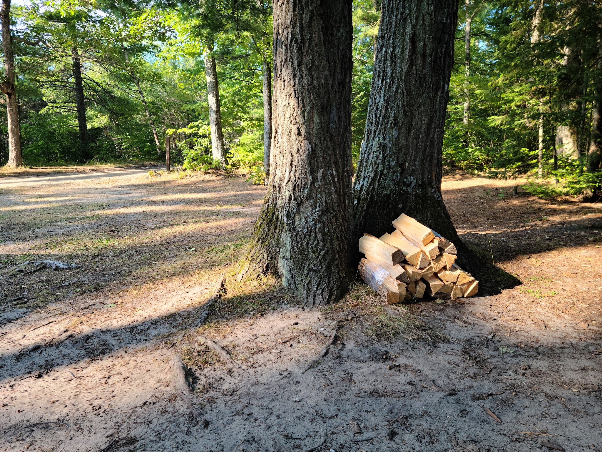Reed & Green Bridge State Forest Campground