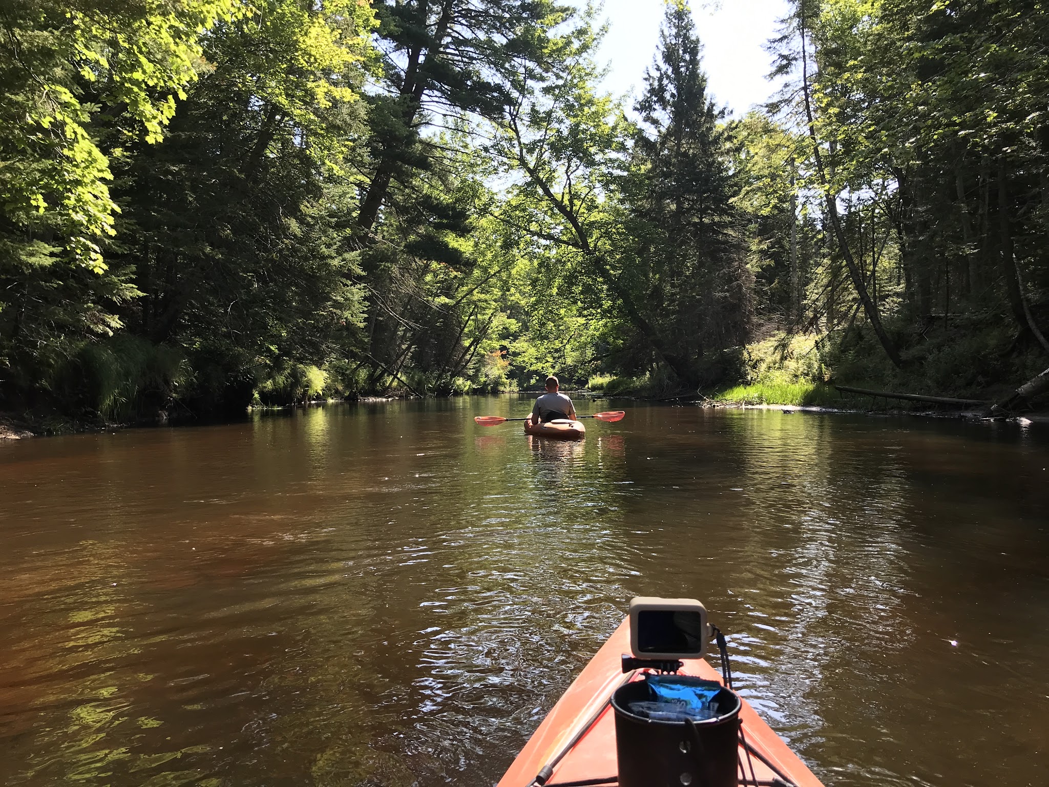 Reed & Green Bridge State Forest Campground