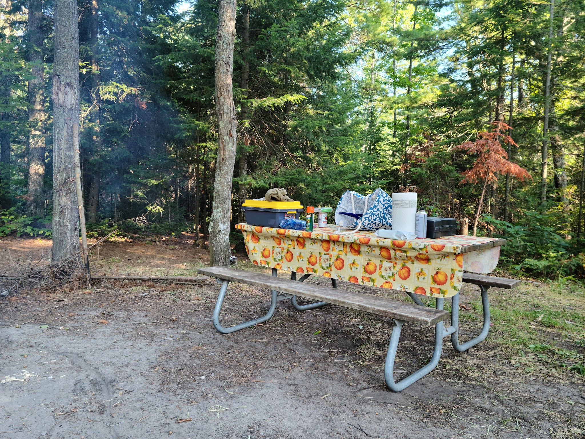 Reed & Green Bridge State Forest Campground