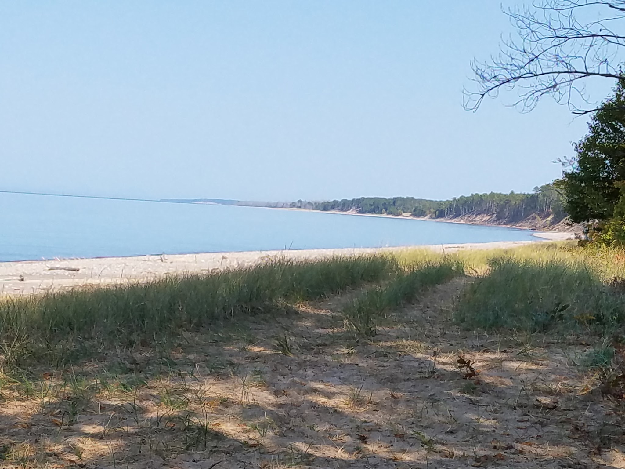 Reed & Green Bridge State Forest Campground