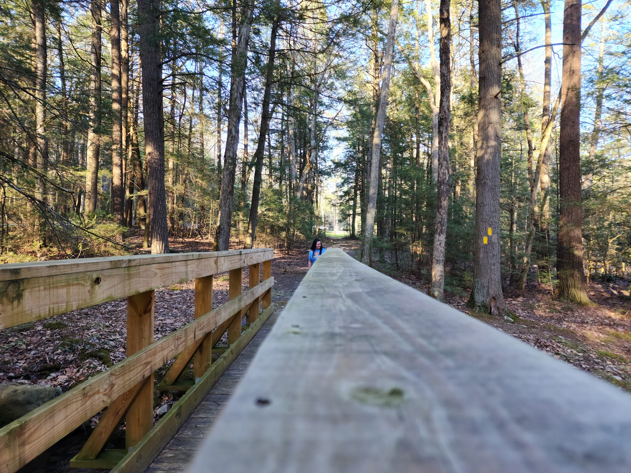 Reeds Gap State Park