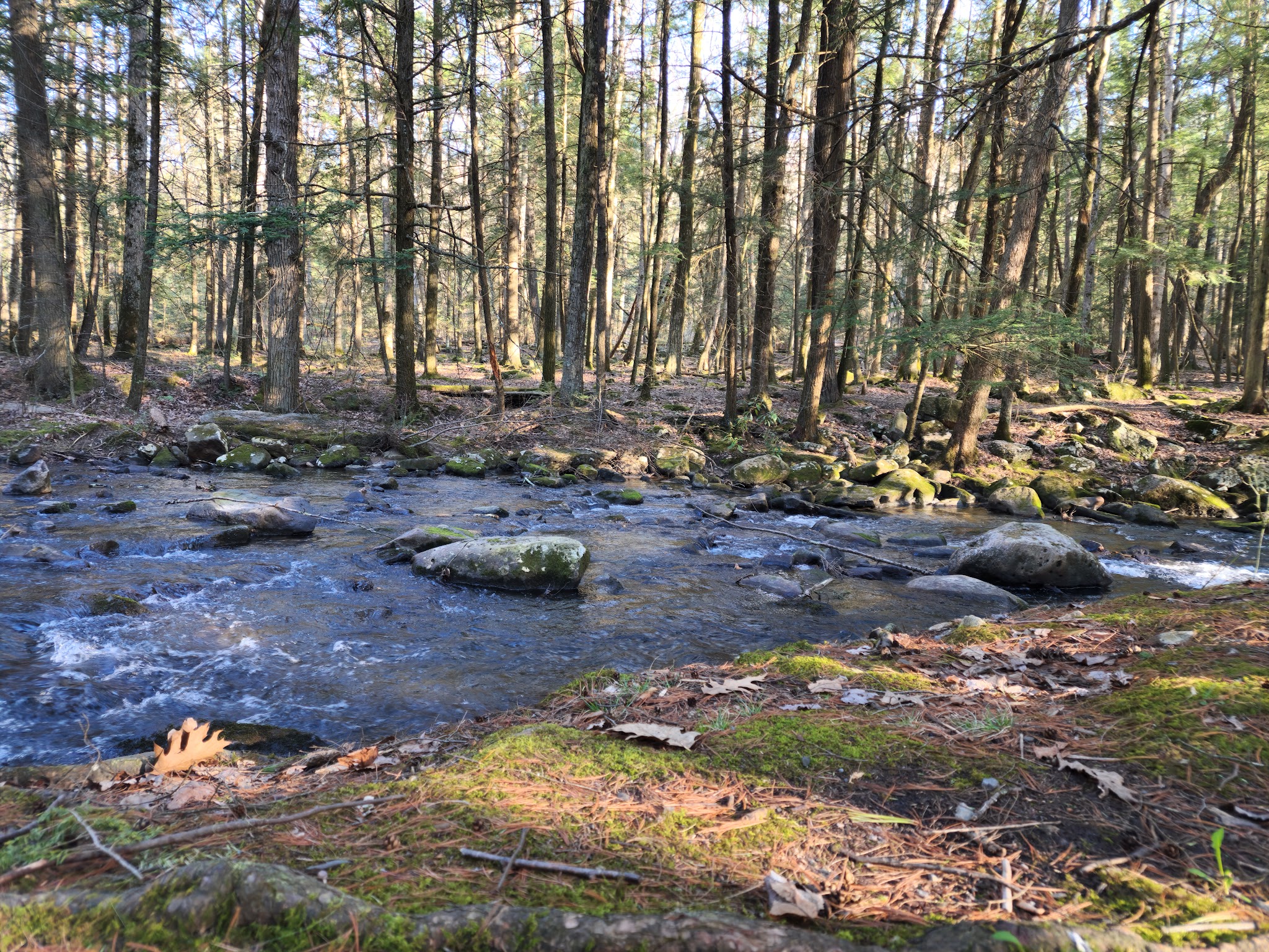 Reeds Gap State Park