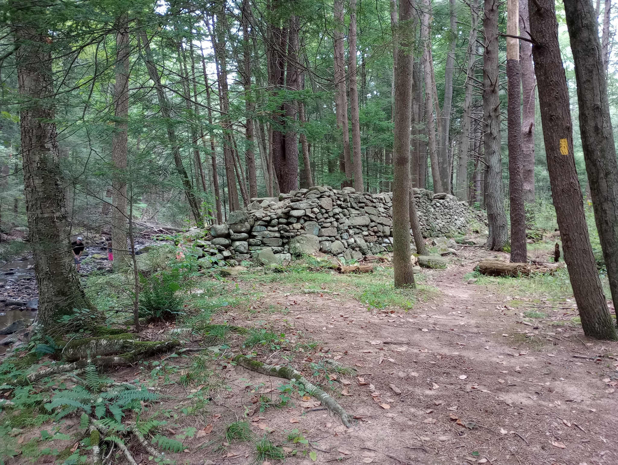 Reeds Gap State Park