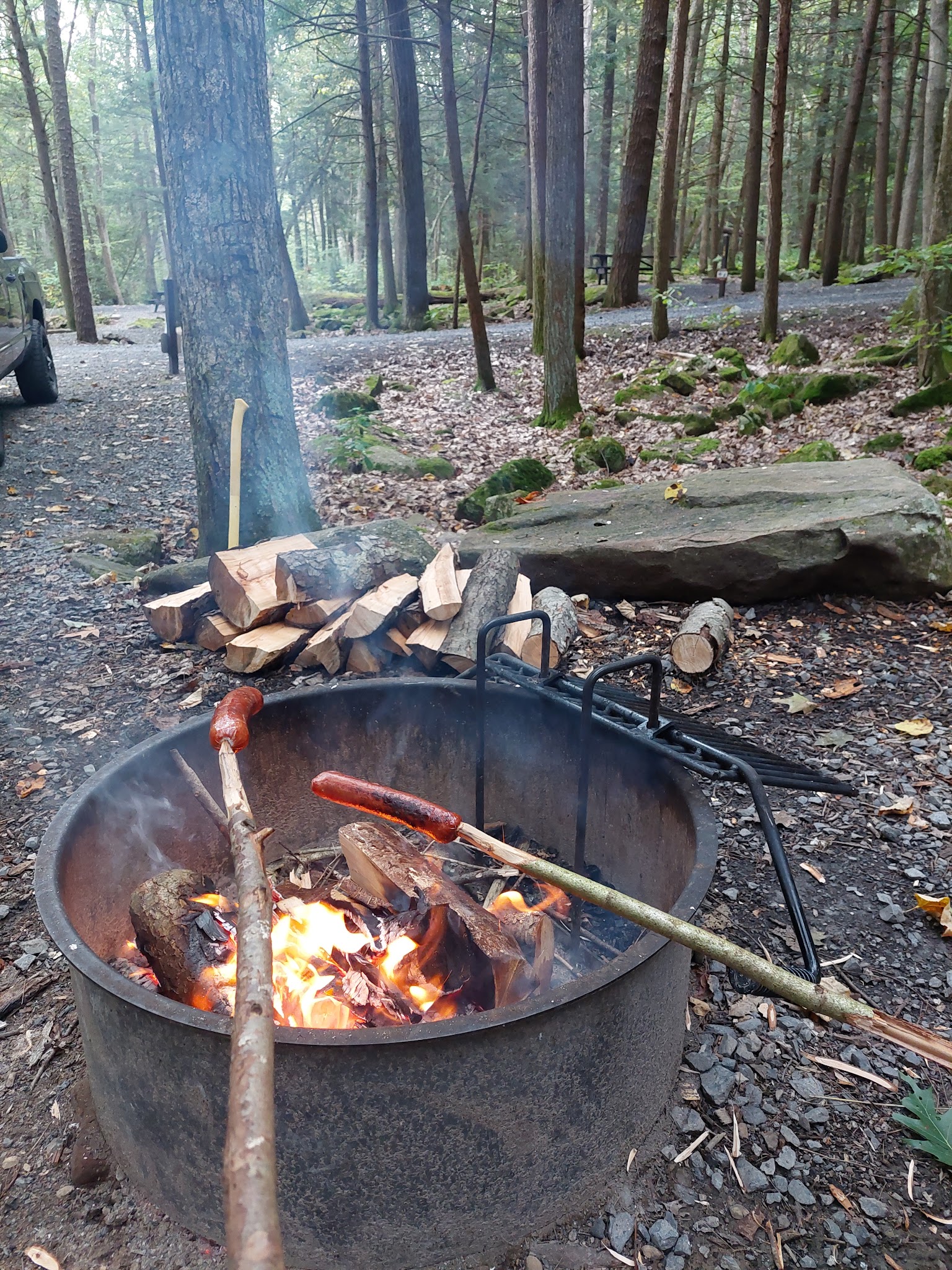 Reeds Gap State Park
